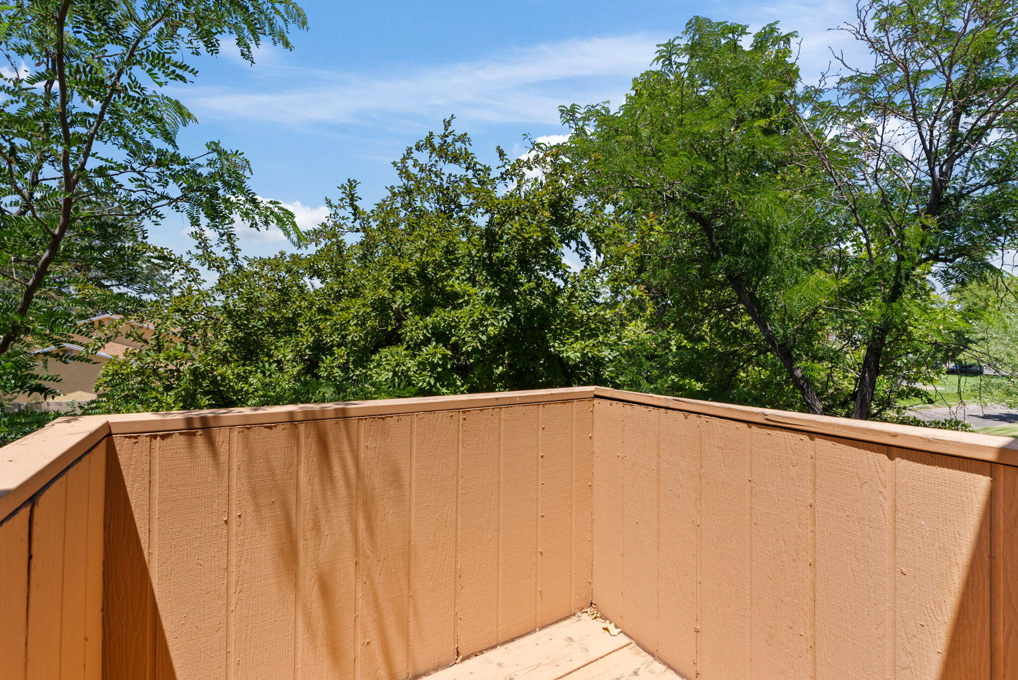 106 CALLE PLAYA DEL SOL NE Patio