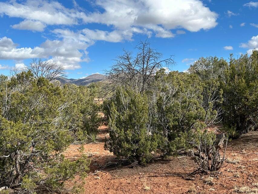 Homes for sale in Sandia Park, NM | 41 Storyteller Ct, Sandia Park, NM 87047 | MLS# 1086760