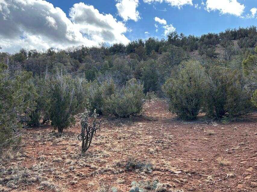 Homes for sale in Sandia Park, NM | 41 Storyteller Ct, Sandia Park, NM 87047 | MLS# 1086760