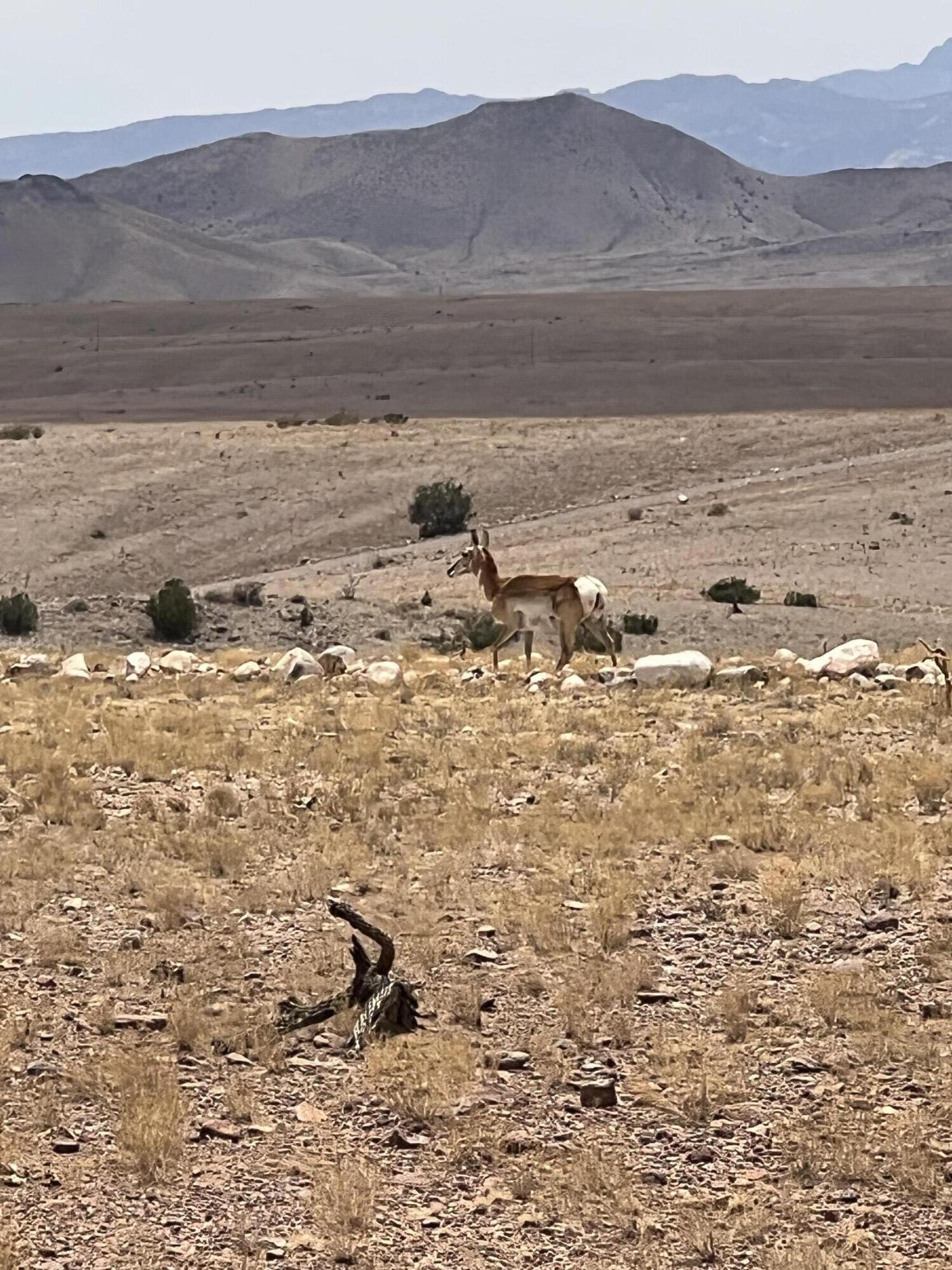 Homes for sale in San Antonio, NM | Rolling Hills Lot 47, San Antonio, NM 87801 | MLS# 1086792