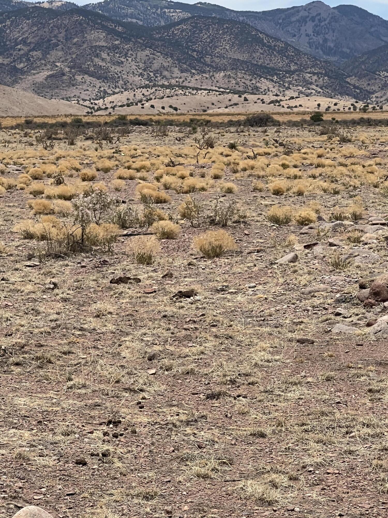 Homes for sale in San Antonio, NM | Rolling Hills Lot 47, San Antonio, NM 87801 | MLS# 1086792