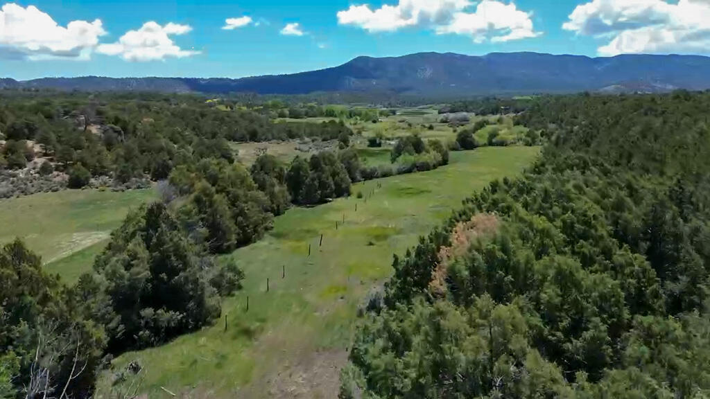 Homes for sale in Regina, NM | Tbd Bear Paw Valley Ranch, Regina, NM 87046 | MLS# 1086854