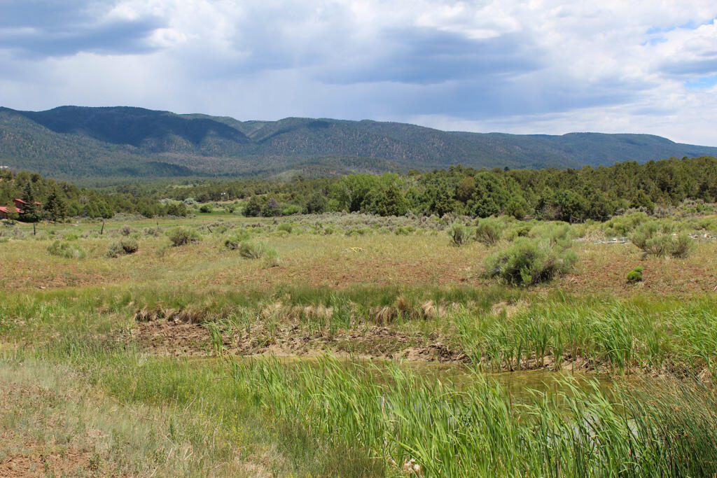 Homes for sale in Regina, NM | Tbd Bear Paw Valley Ranch, Regina, NM 87046 | MLS# 1086854