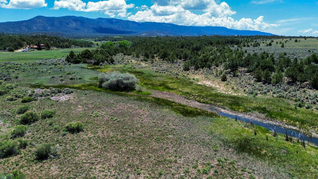 Homes for sale in Regina, NM | Tbd Bear Paw Valley Ranch, Regina, NM 87046 | MLS# 1086854