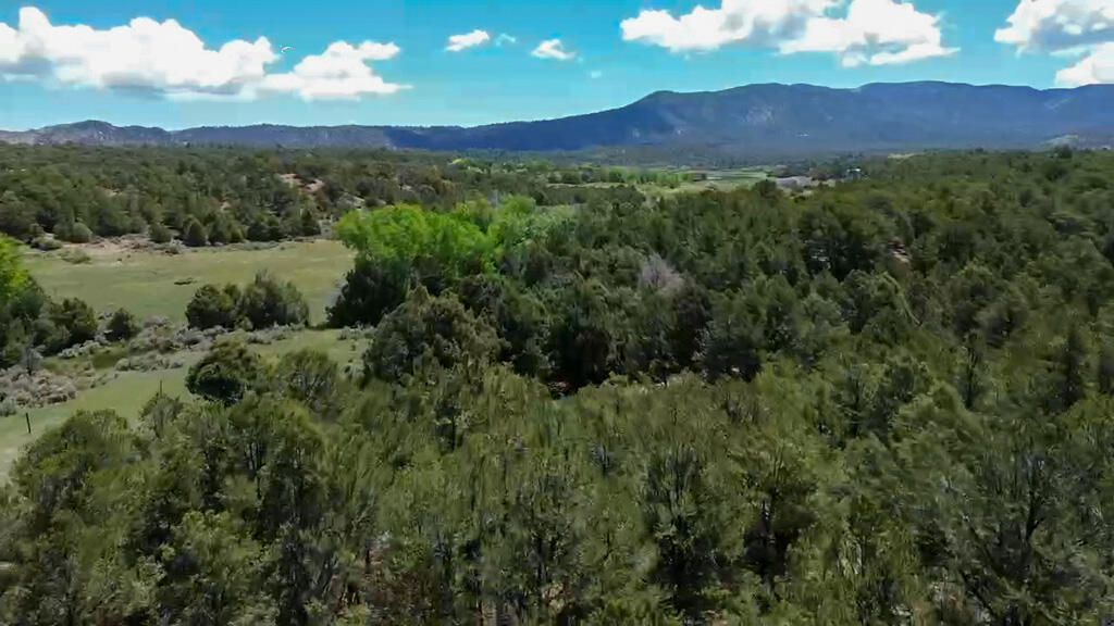 Homes for sale in Regina, NM | Tbd Bear Paw Valley Ranch, Regina, NM 87046 | MLS# 1086854