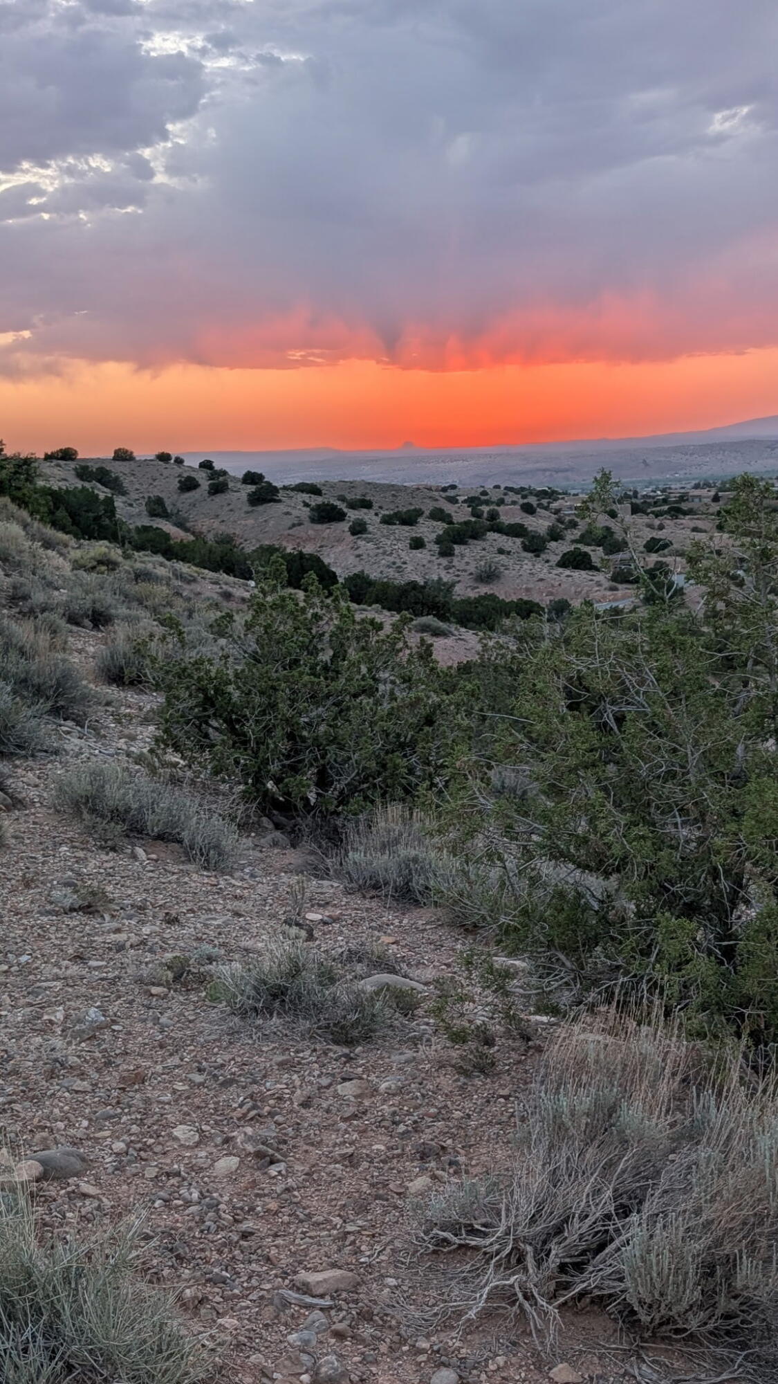 Homes for sale in Placitas, NM | Lot 43, Cienega Canyon Rd, Placitas, NM 87043 | MLS# 1086881