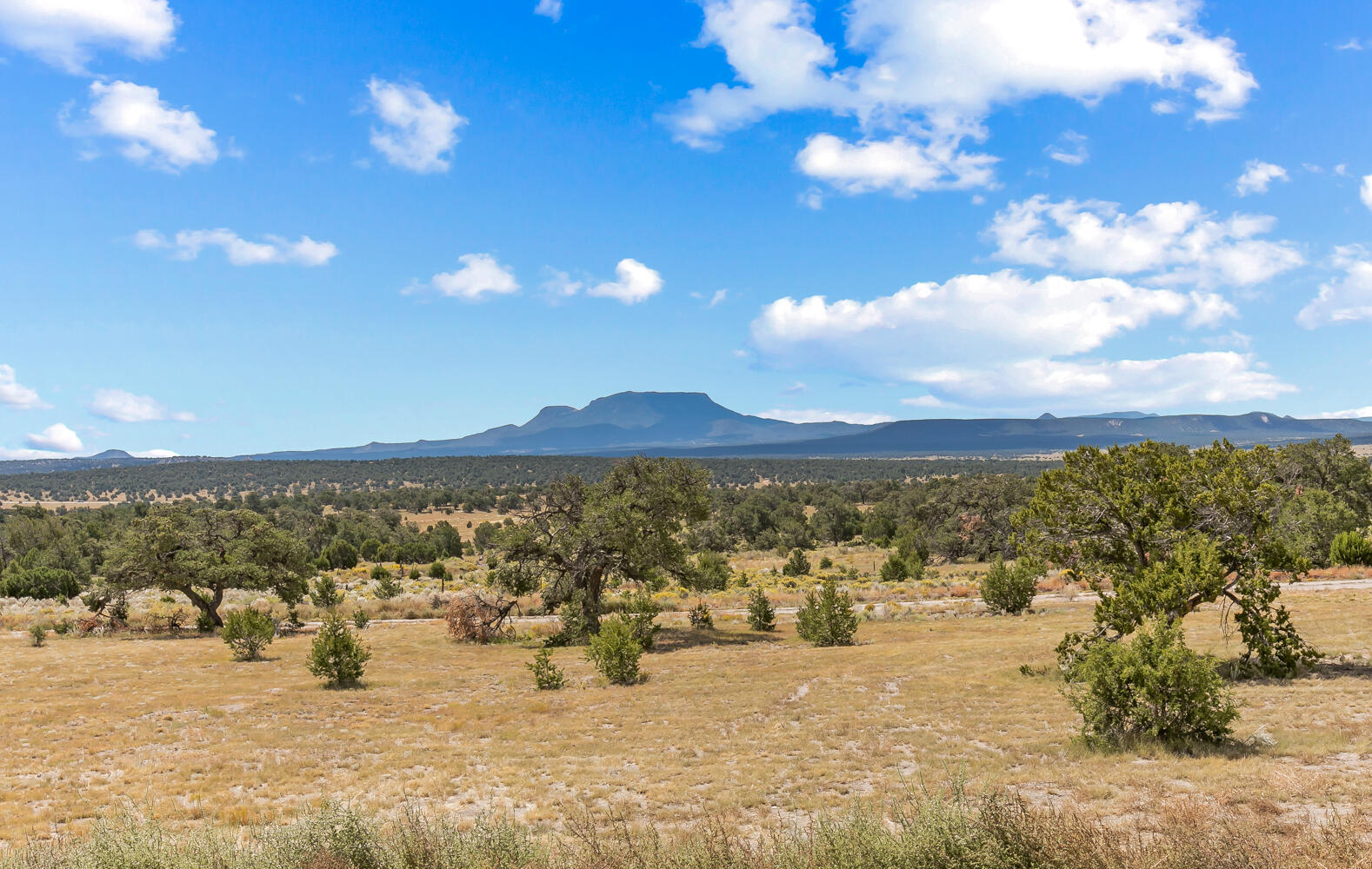 Homes for sale in Pie Town, NM | 88 Old Stage Road, Pie Town, NM 87827 | MLS# 1086933