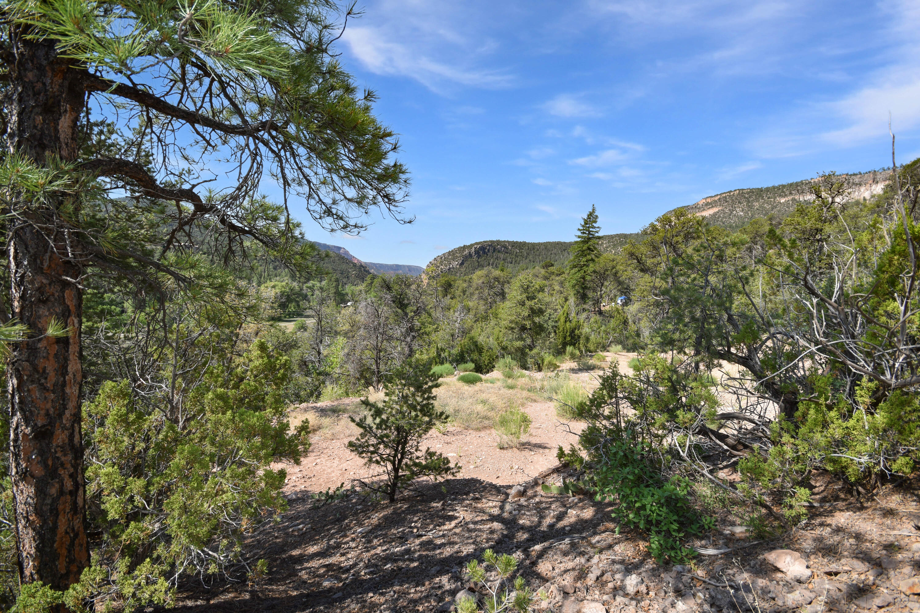 Homes for sale in Jemez Springs, NM | Eagle Heights North Tract: 1a1, Jemez Springs, NM 87025 | MLS# 1086977