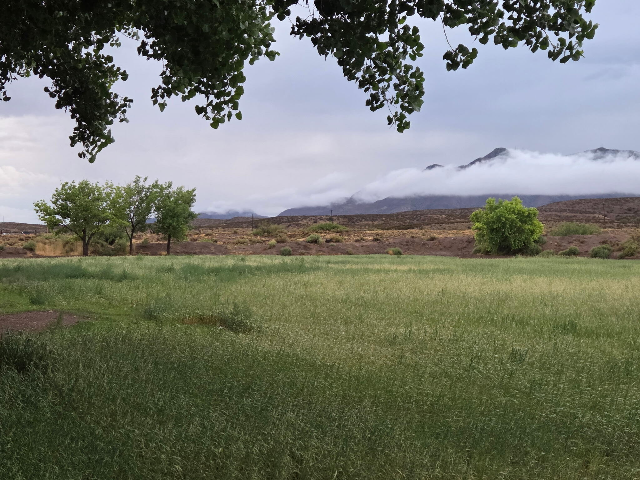 Homes for sale in Socorro, NM | 26 Schmittle Rd, Socorro, NM 87801 | MLS# 1087002