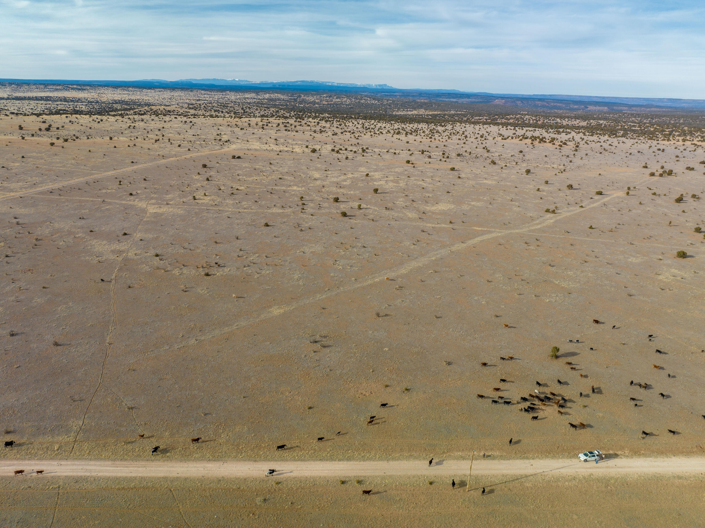Homes for sale in Santa Rosa, NM | Portillo Creek Ranch, Tract 12, Santa Rosa, NM 88435 | MLS# 1087006