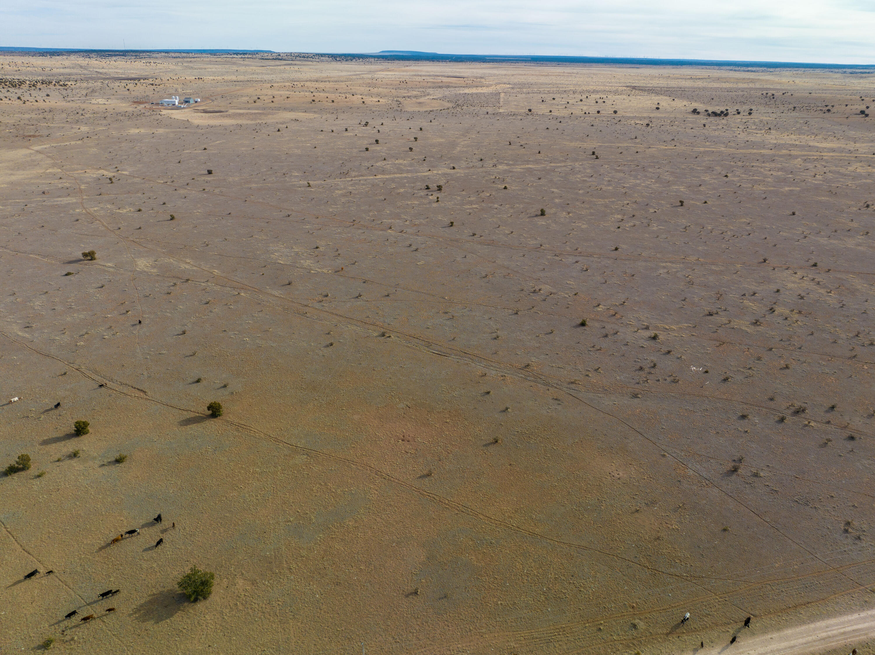 Homes for sale in Santa Rosa, NM | Portillo Creek Ranch, Tract 12, Santa Rosa, NM 88435 | MLS# 1087006