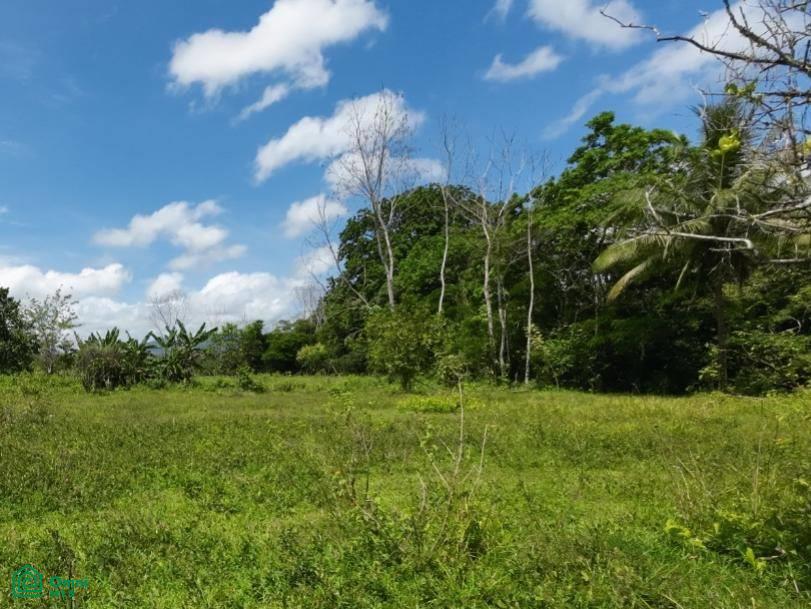 0 bed Land For Sale in San Ramón, Alajuela - 1
