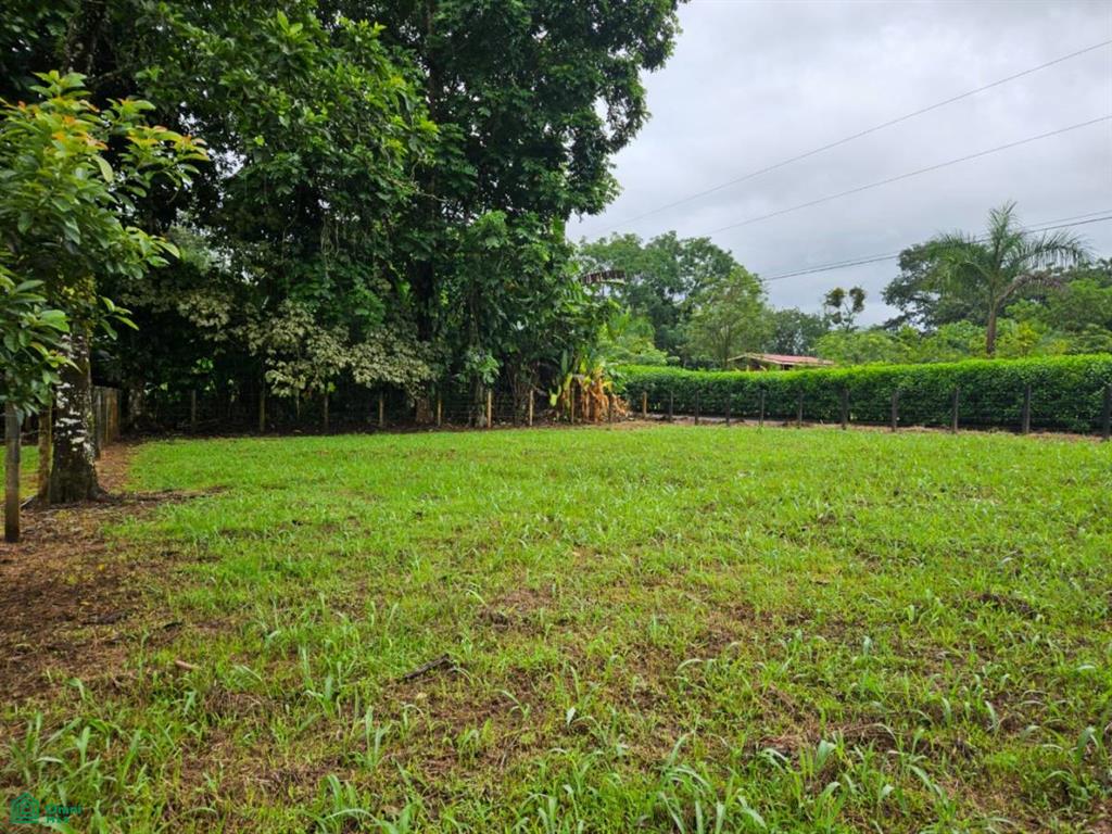 0 bed Land For Sale in San Carlos, Alajuela - 1