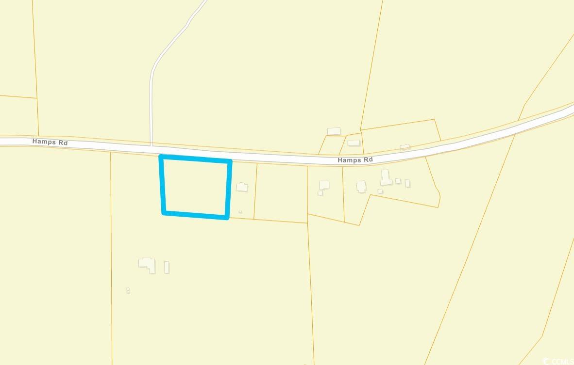 TBD Hamps Rd. Nichols, SC 29581