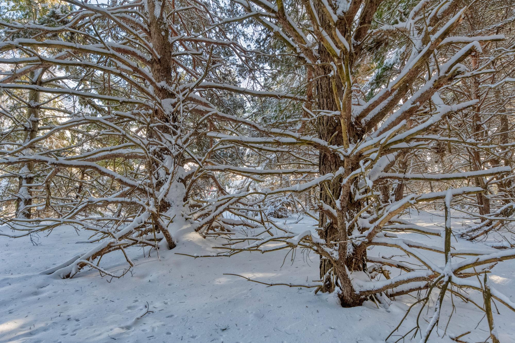 Undocumented Lake Property Off Hwy 45 Photo 4