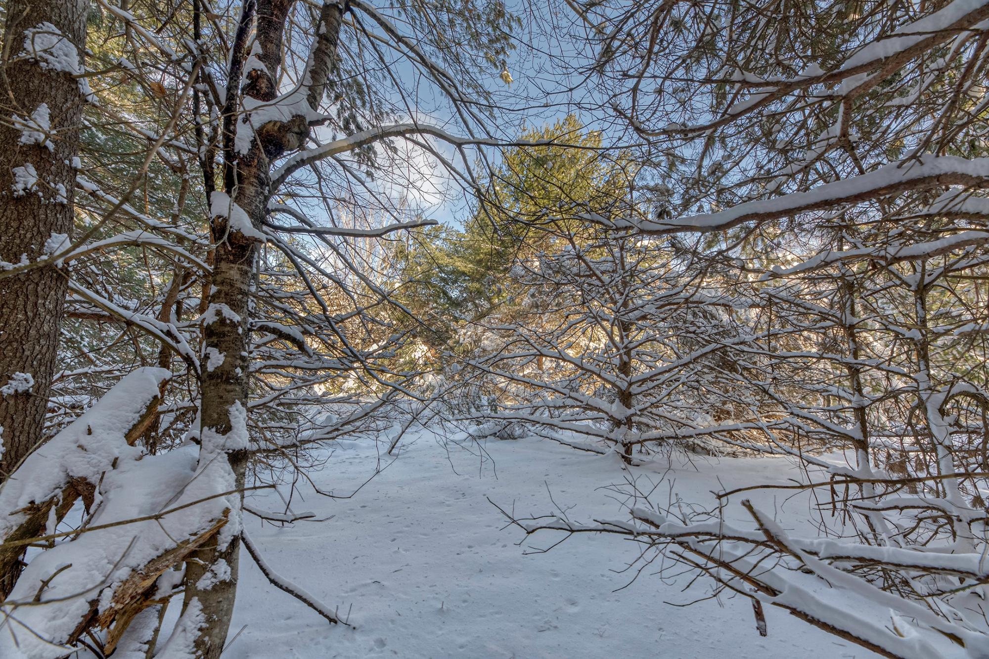 Undocumented Lake Property Off Hwy 45 Photo 5