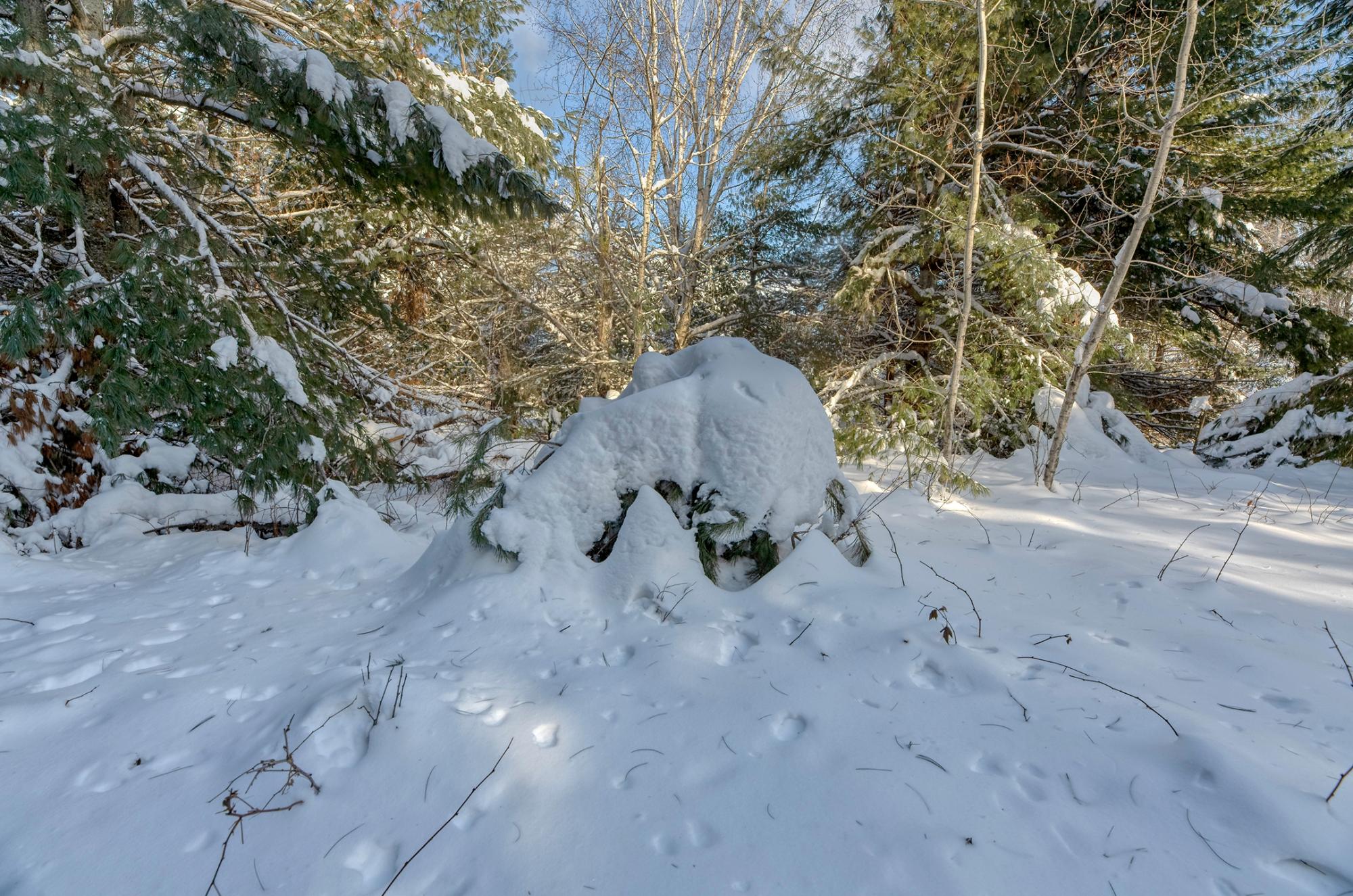 Undocumented Lake Property Off Hwy 45 Photo 9