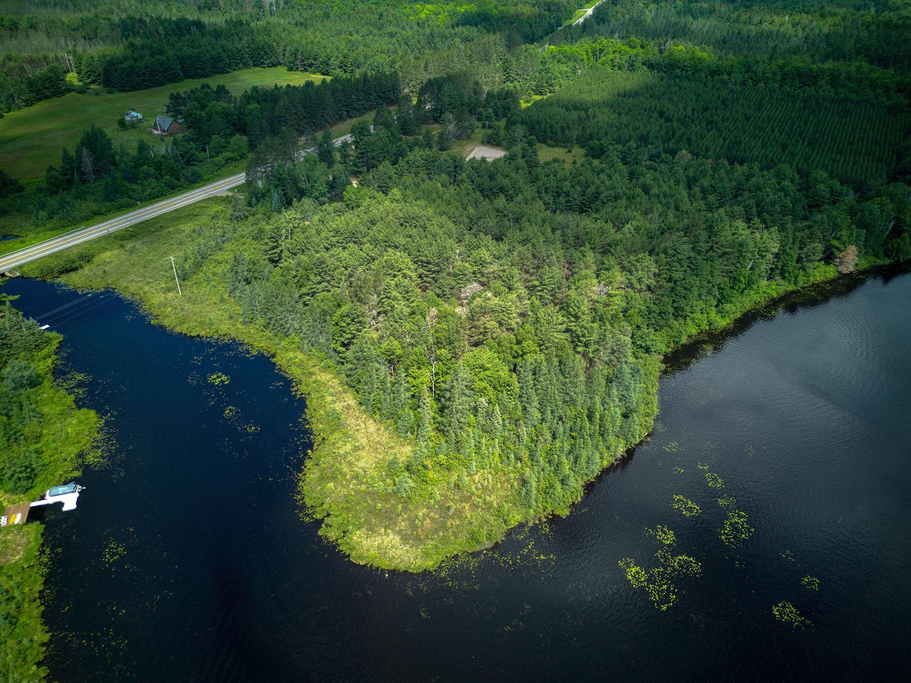 Undocumented Lake Property Off Hwy 45 Photo 17