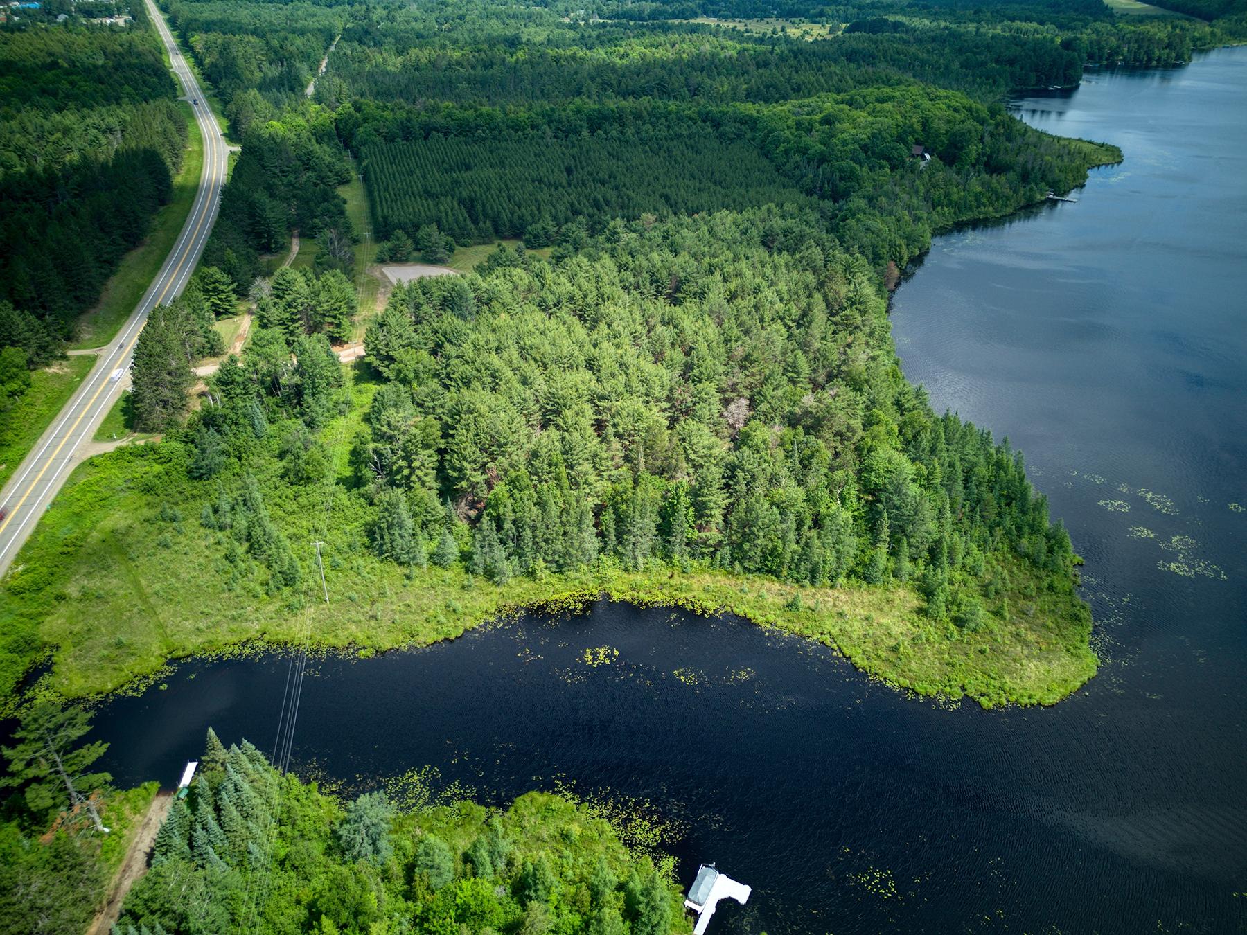 Undocumented Lake Property Off Hwy 45 Photo 4