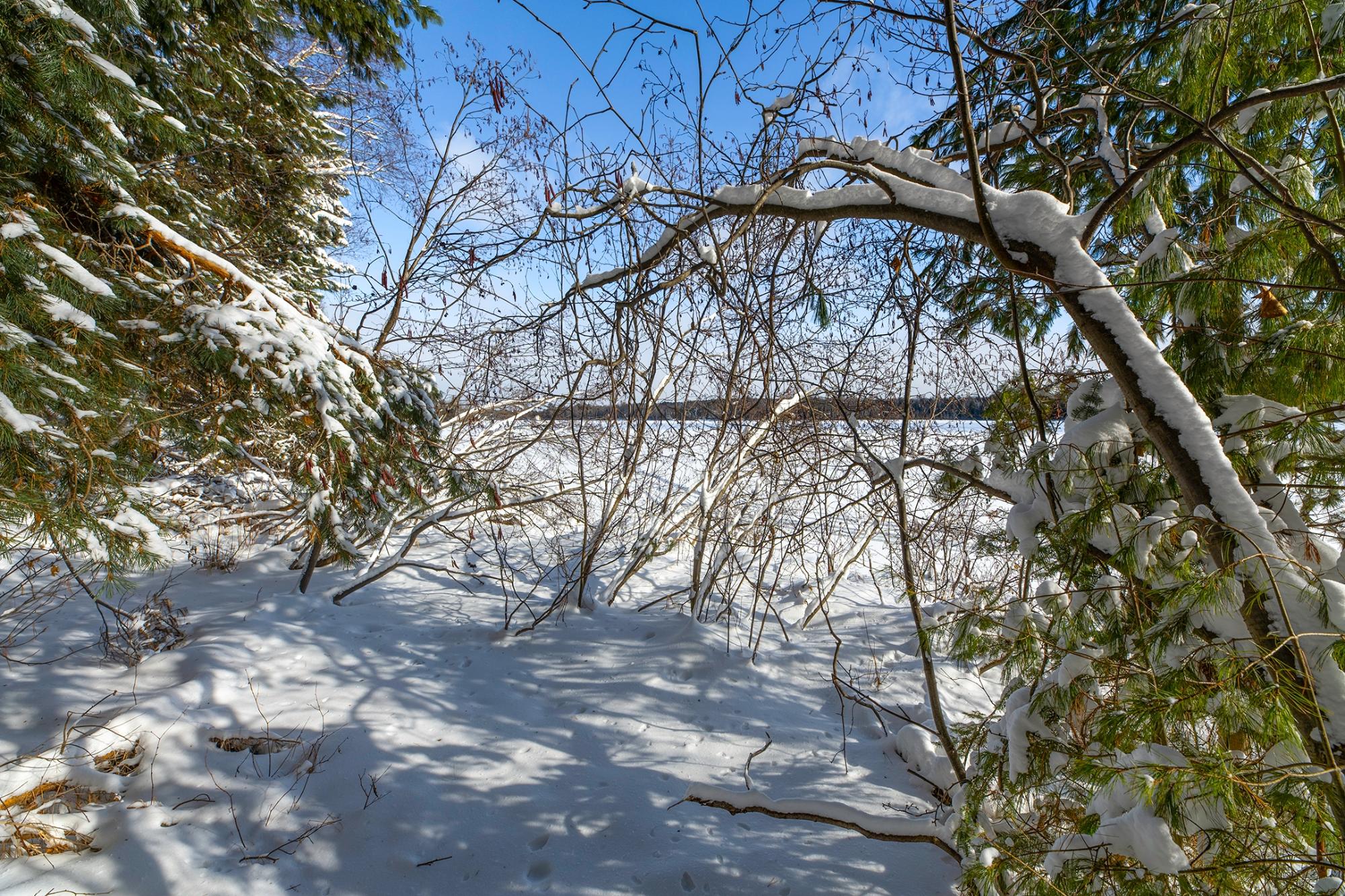 Undocumented Lake Property Off Hwy 45 Photo 5