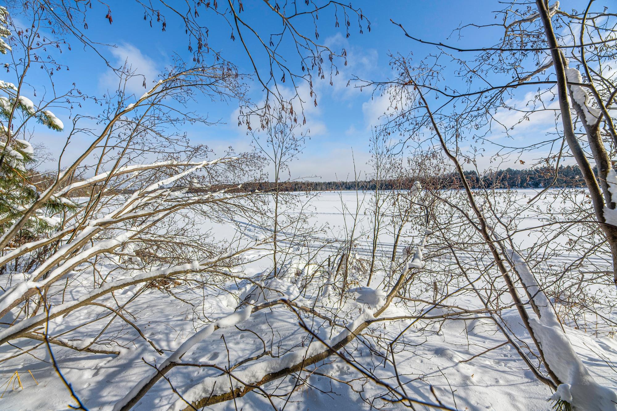 Undocumented Lake Property Off Hwy 45 Photo 6