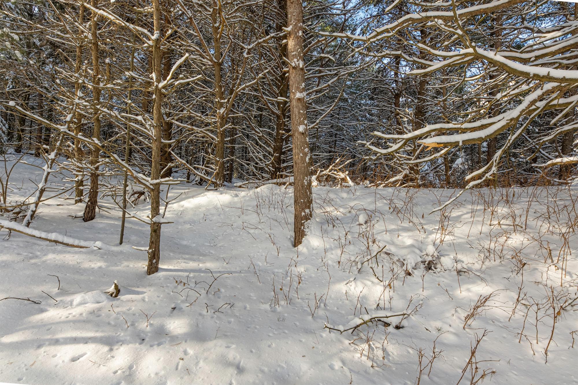 Undocumented Lake Property Off Hwy 45 Photo 7