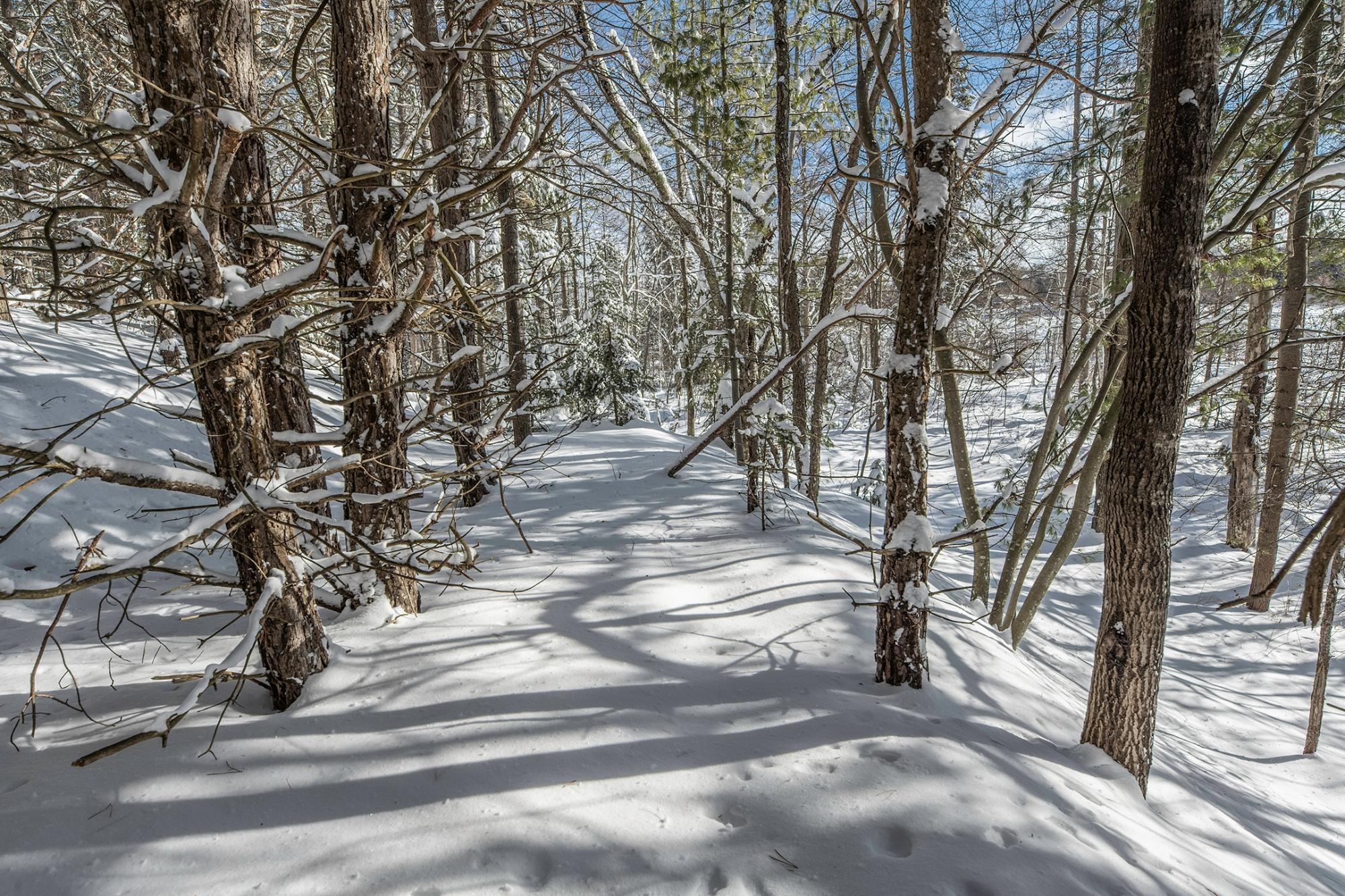 Undocumented Lake Property Off Hwy 45 Photo 11