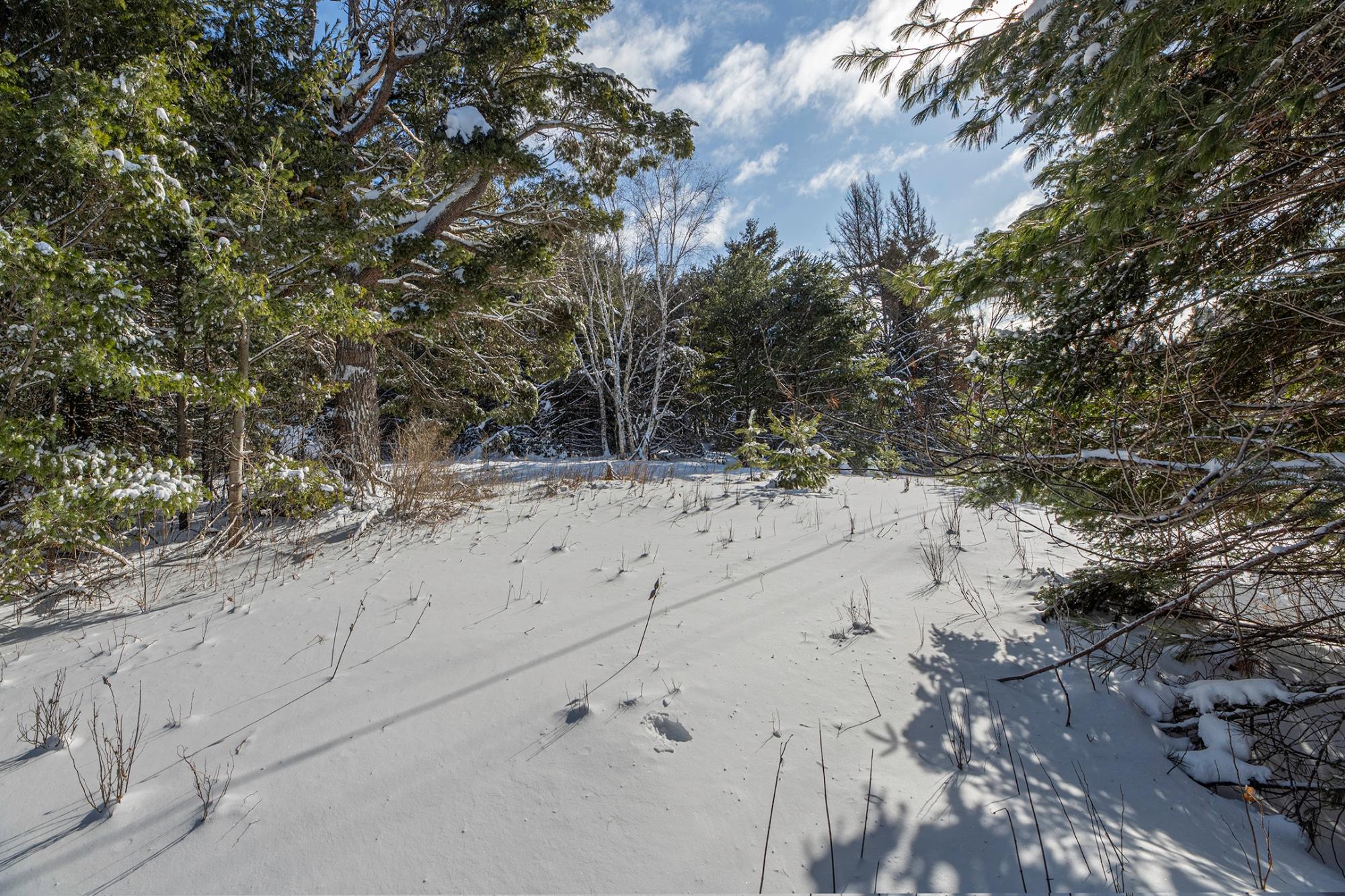 Undocumented Lake Property Off Hwy 45 Photo 2