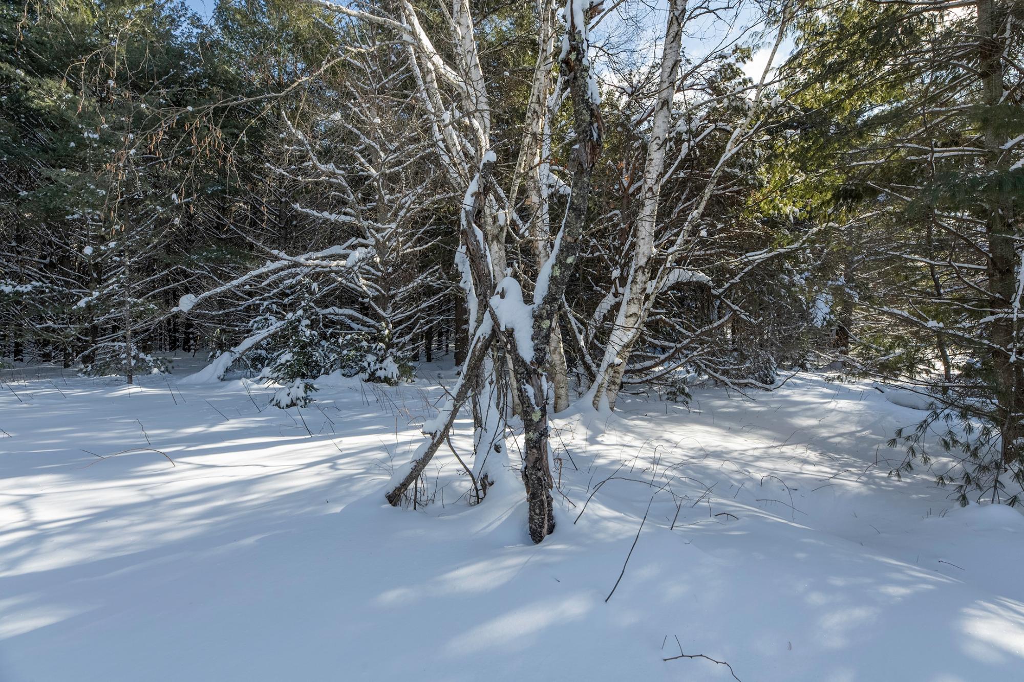 Undocumented Lake Property Off Hwy 45 Photo 3