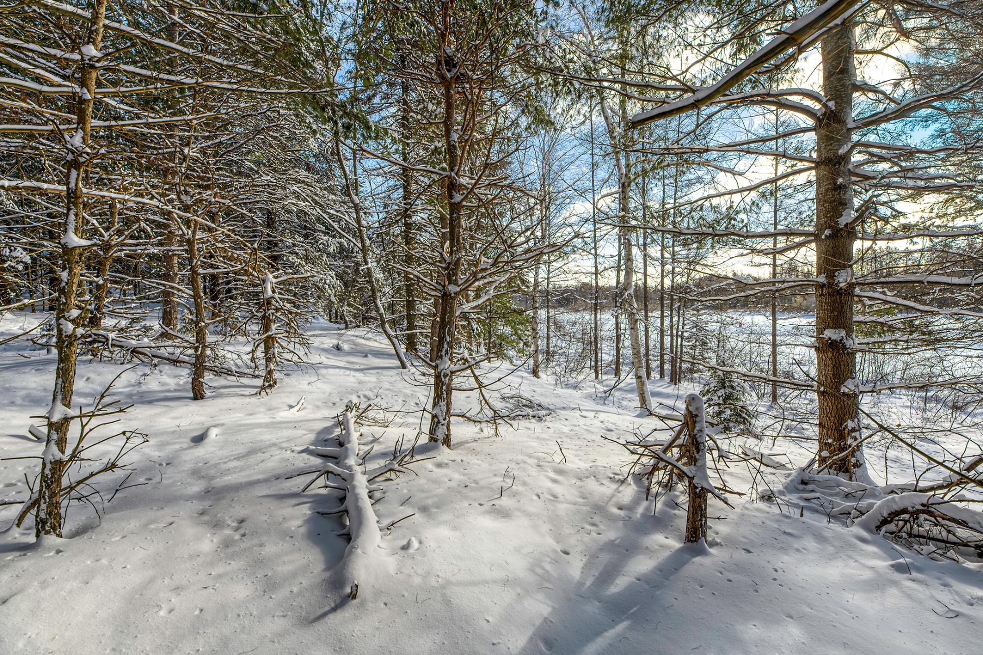 Undocumented Lake Property Off Hwy 45 Photo 8