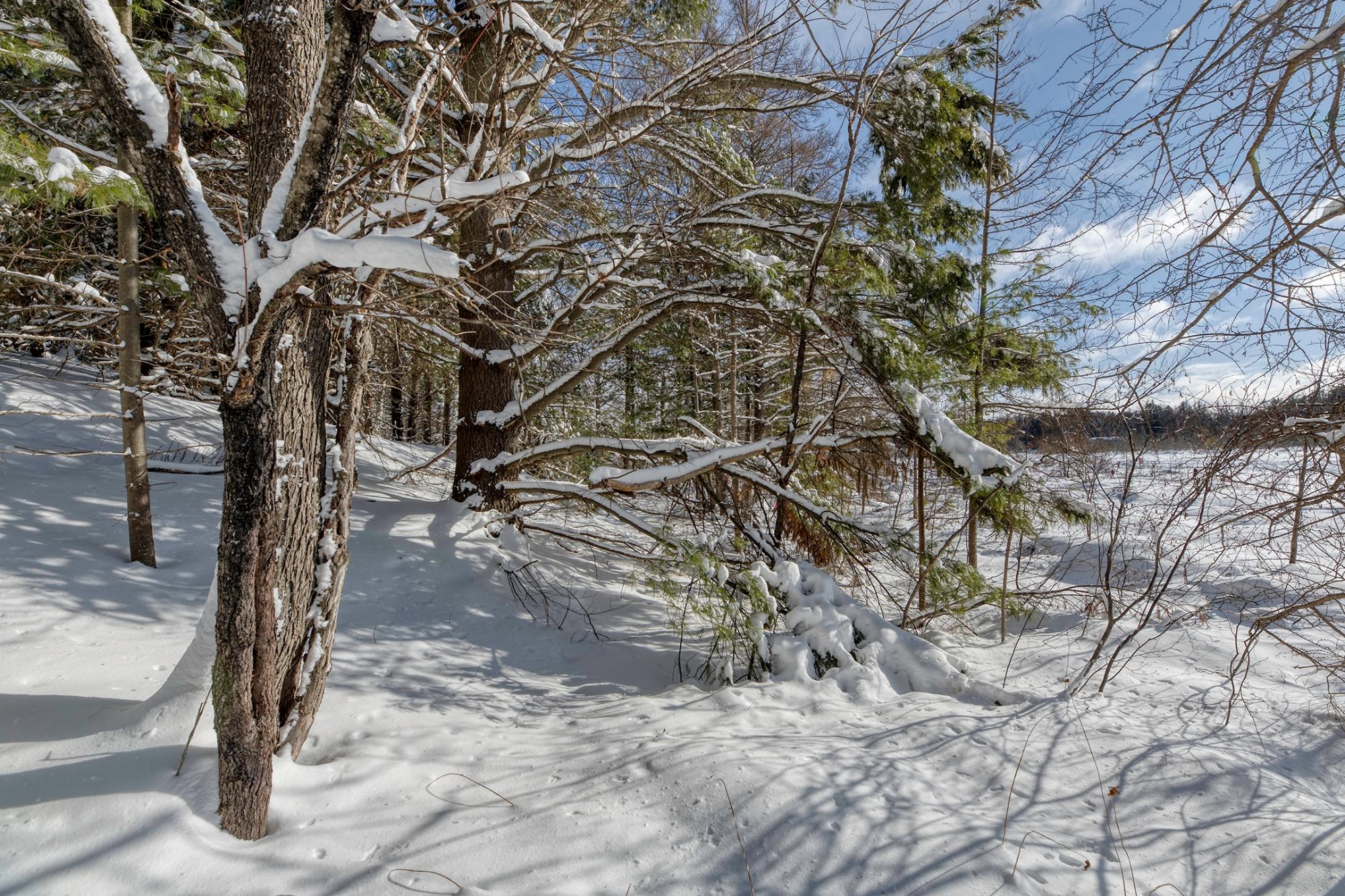 Undocumented Lake Property Off Hwy 45 Photo 9