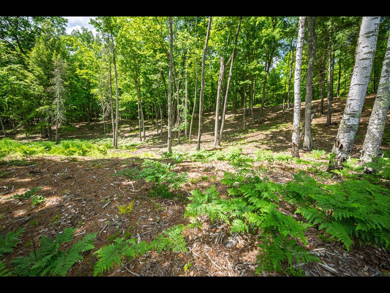 Clearwater Lake Property Lot 133 Clearwater Lake Tr Photo 10