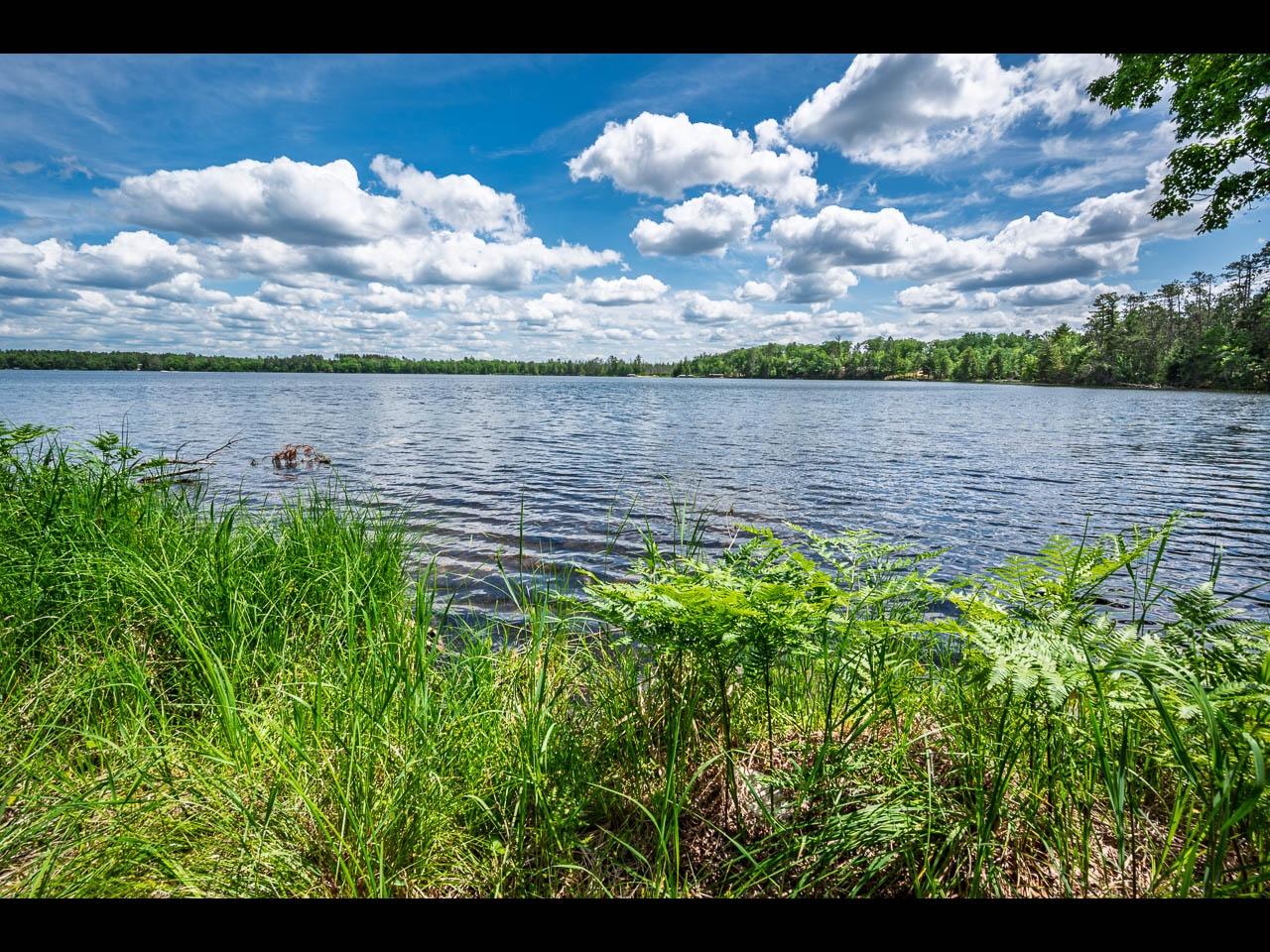 Clearwater Lake Property Lot 133 Clearwater Lake Tr Photo 4