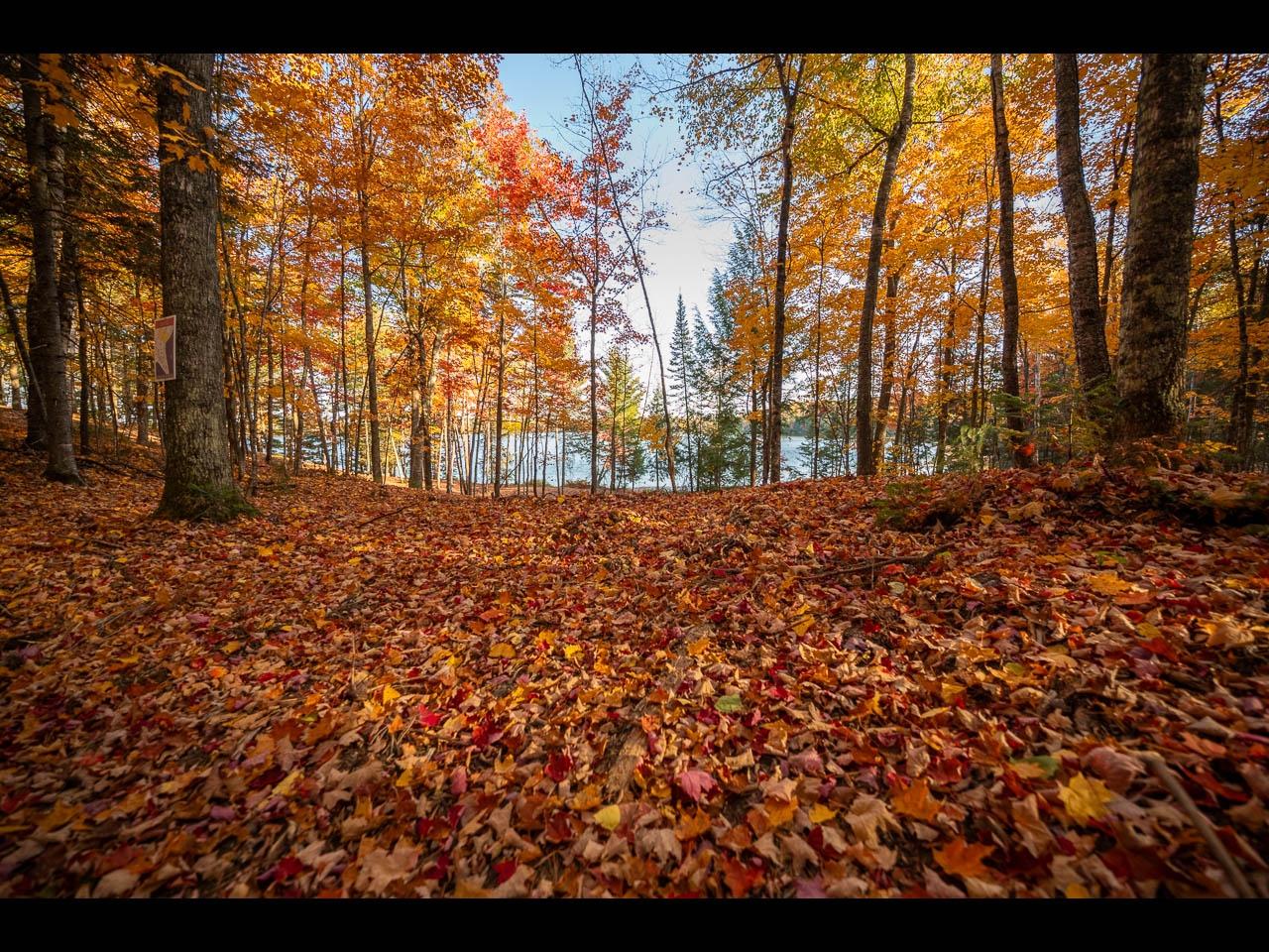 Clearwater Lake Property Lot 133 Clearwater Lake Tr Photo 5