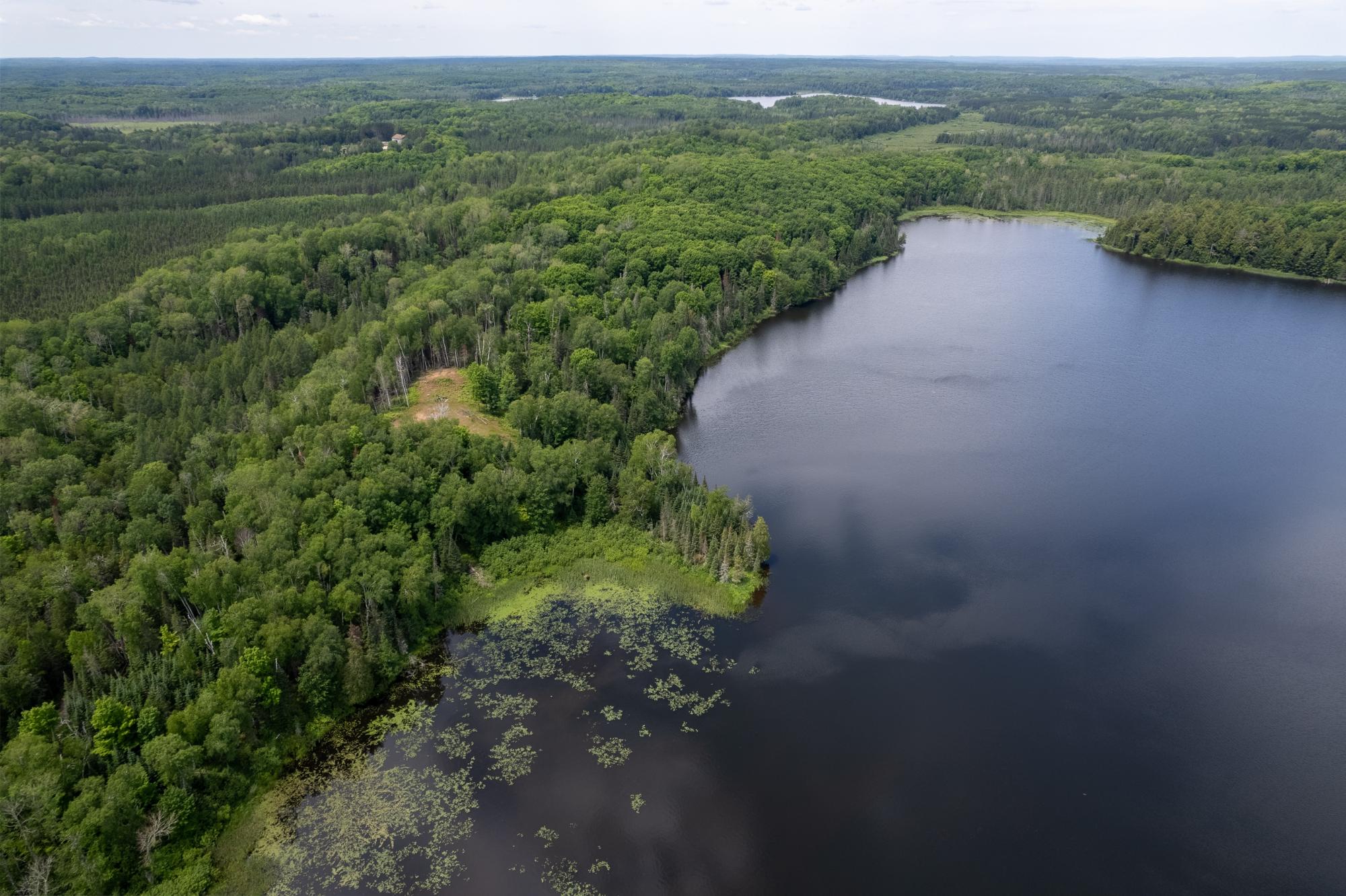 Dunn Lake Property Lot Blue Goose Rd Photo 10