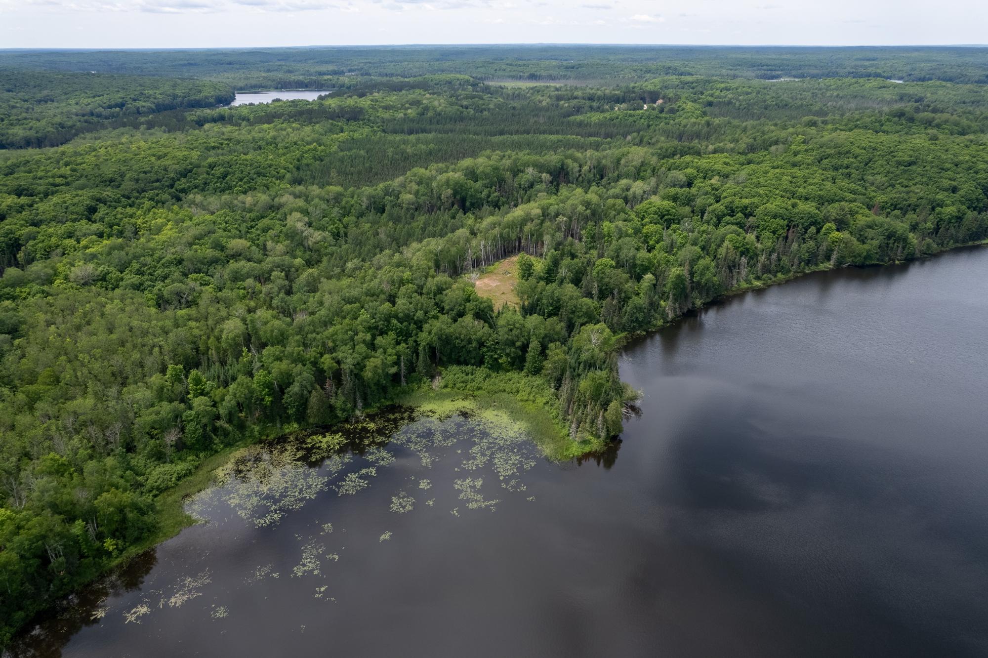 Dunn Lake Property Lot Blue Goose Rd Photo 11