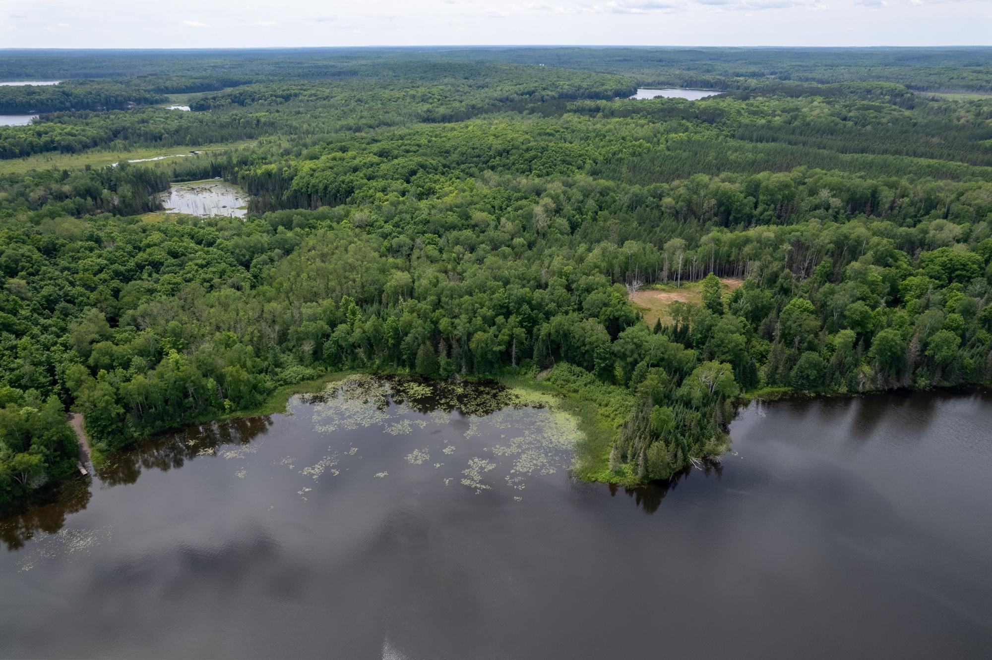 Dunn Lake Property Lot Blue Goose Rd Photo 12