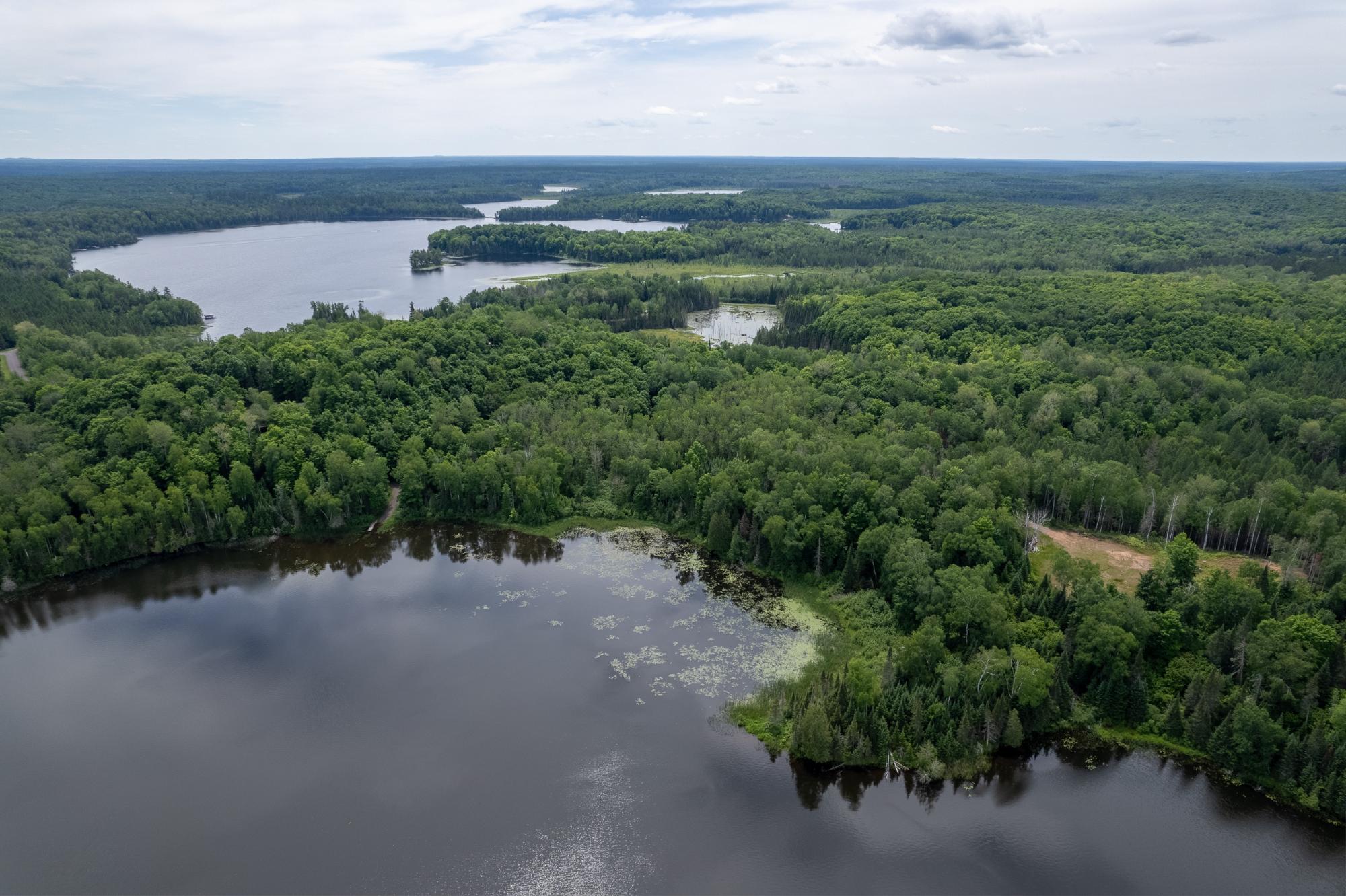 Dunn Lake Property Lot Blue Goose Rd Photo 13