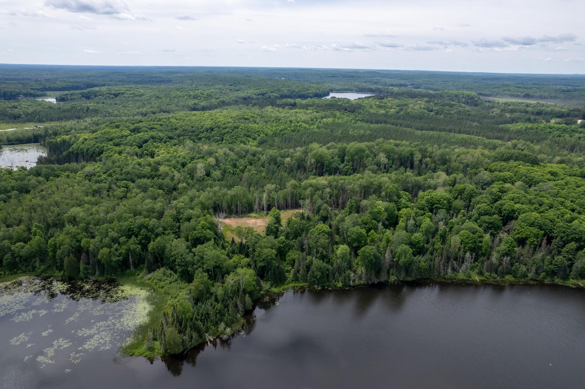 Dunn Lake Property Lot Blue Goose Rd Photo 14