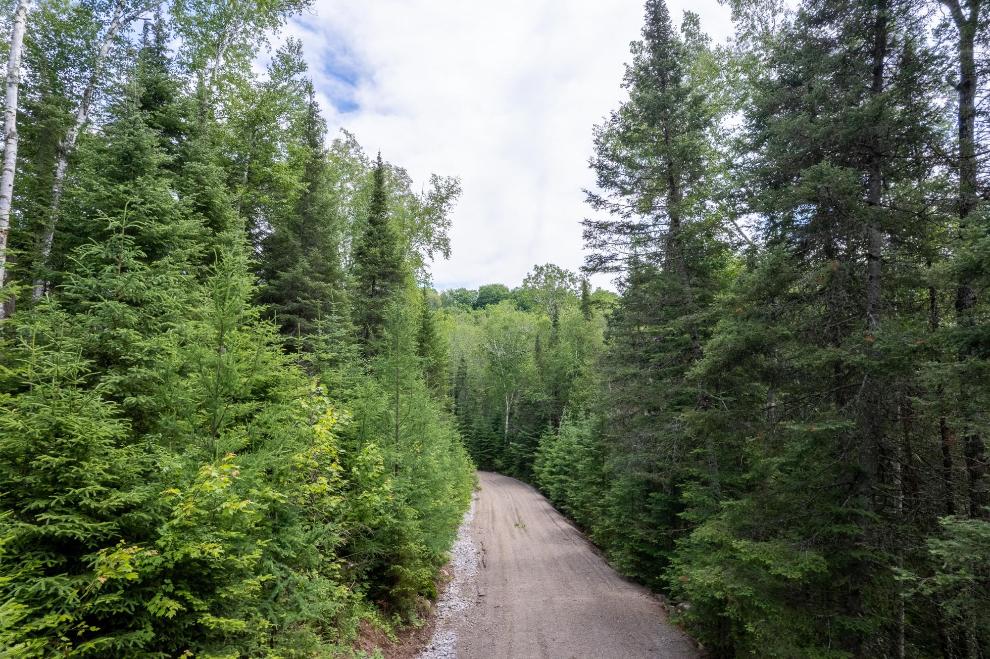 Dunn Lake Property Lot Blue Goose Rd Photo 33