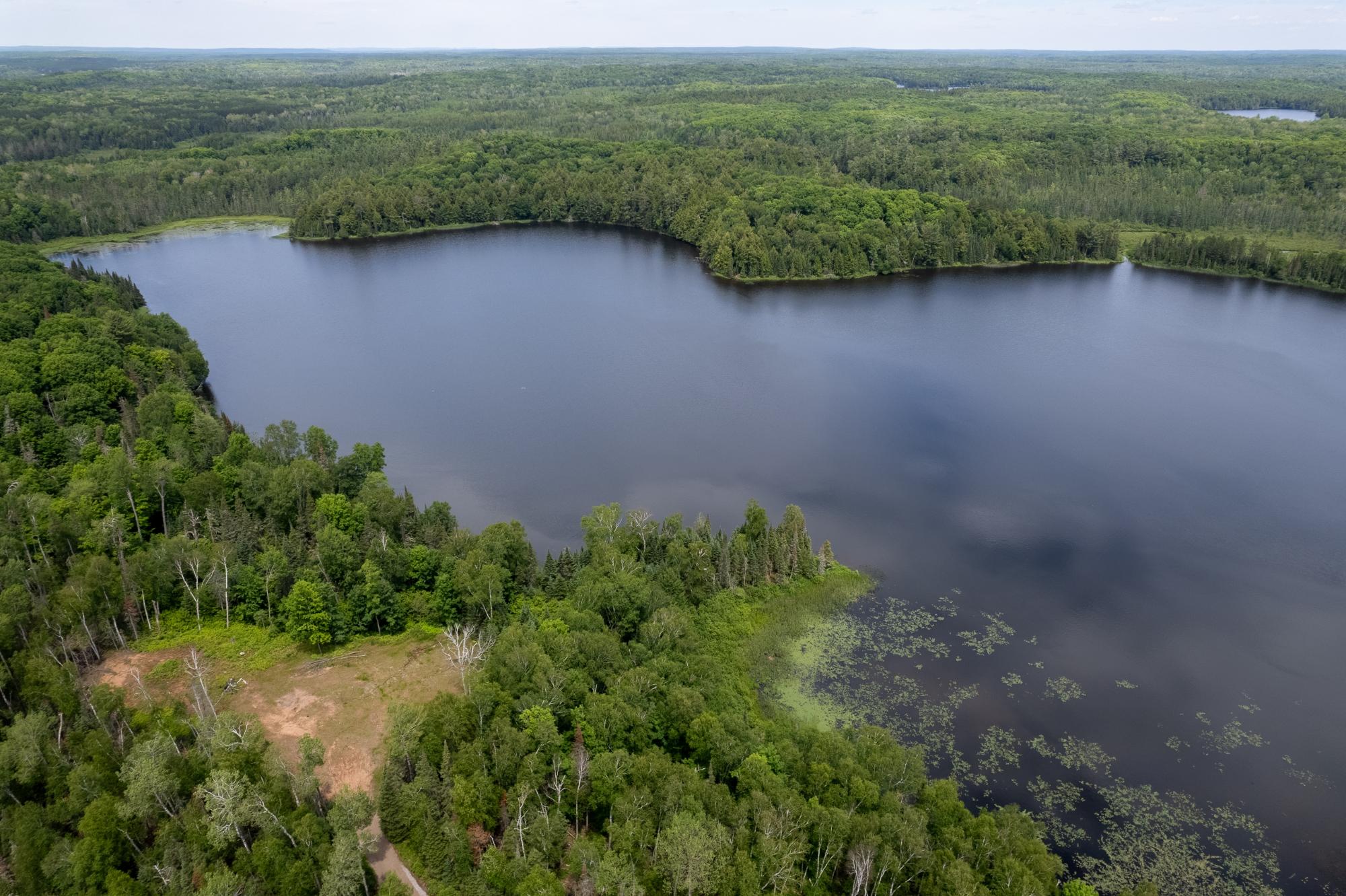 Dunn Lake Property Lot Blue Goose Rd Photo 8