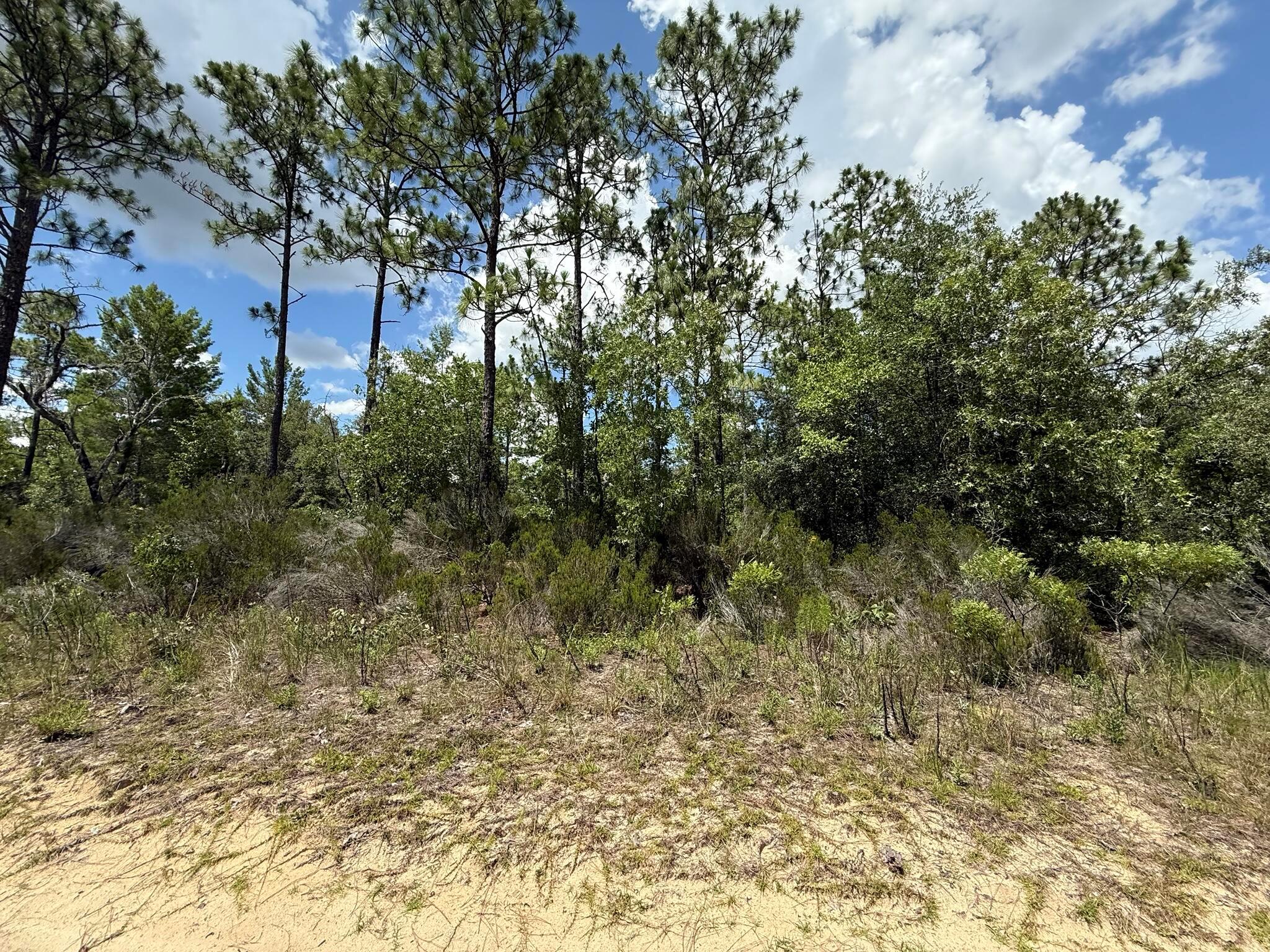 Interlachen Lakes Estates