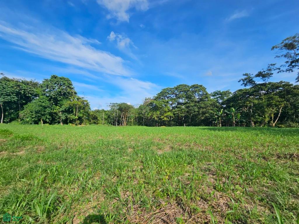 0 bed Land For Sale in San Carlos, Alajuela - 1