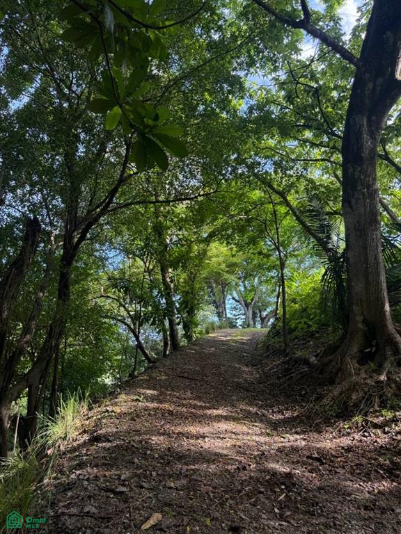 0 bed Land For Sale in Nicoya, Guanacaste - 1