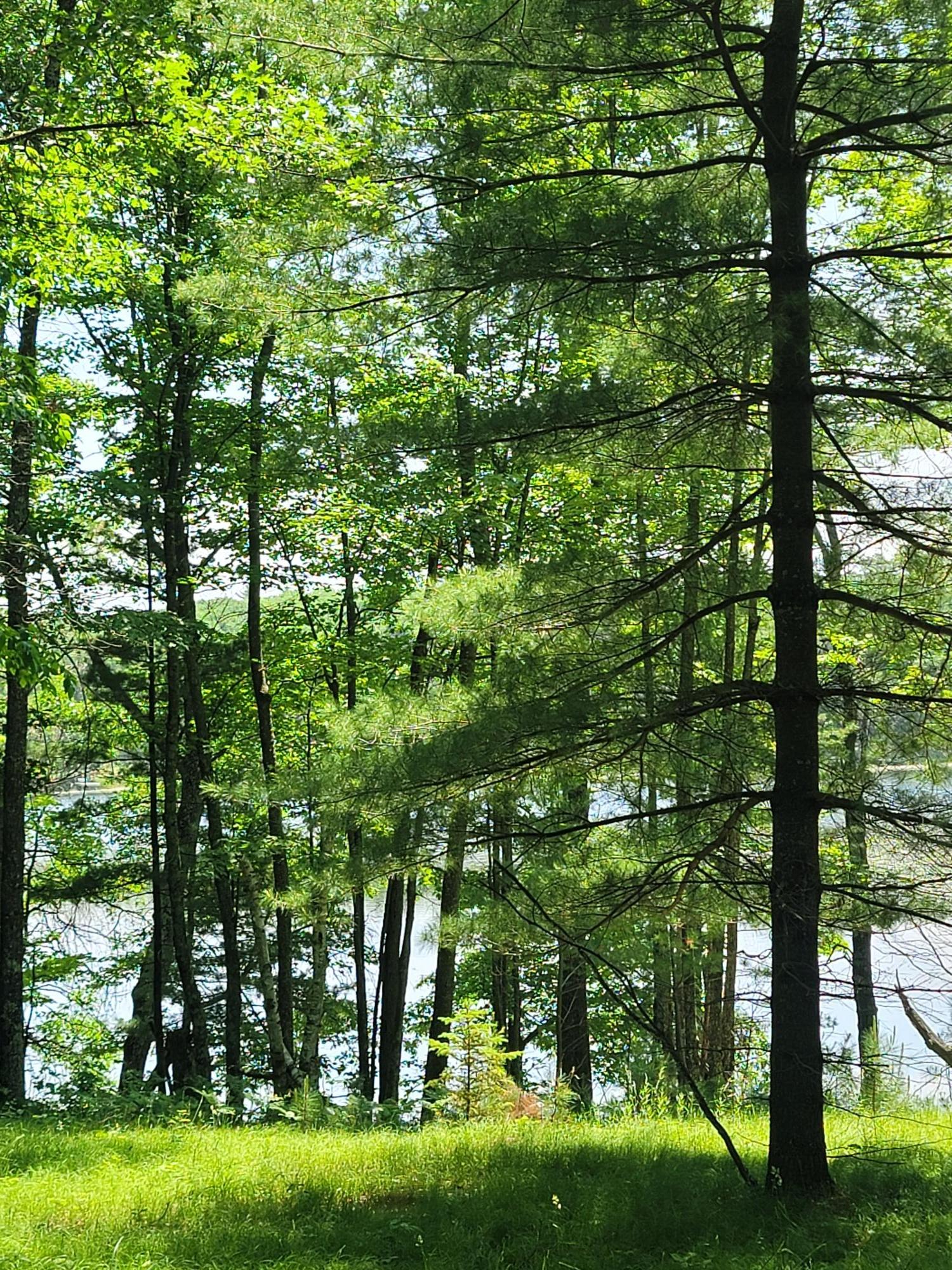 Wind Pudding Lake Property 6069 Windpudding Dr N Photo 10