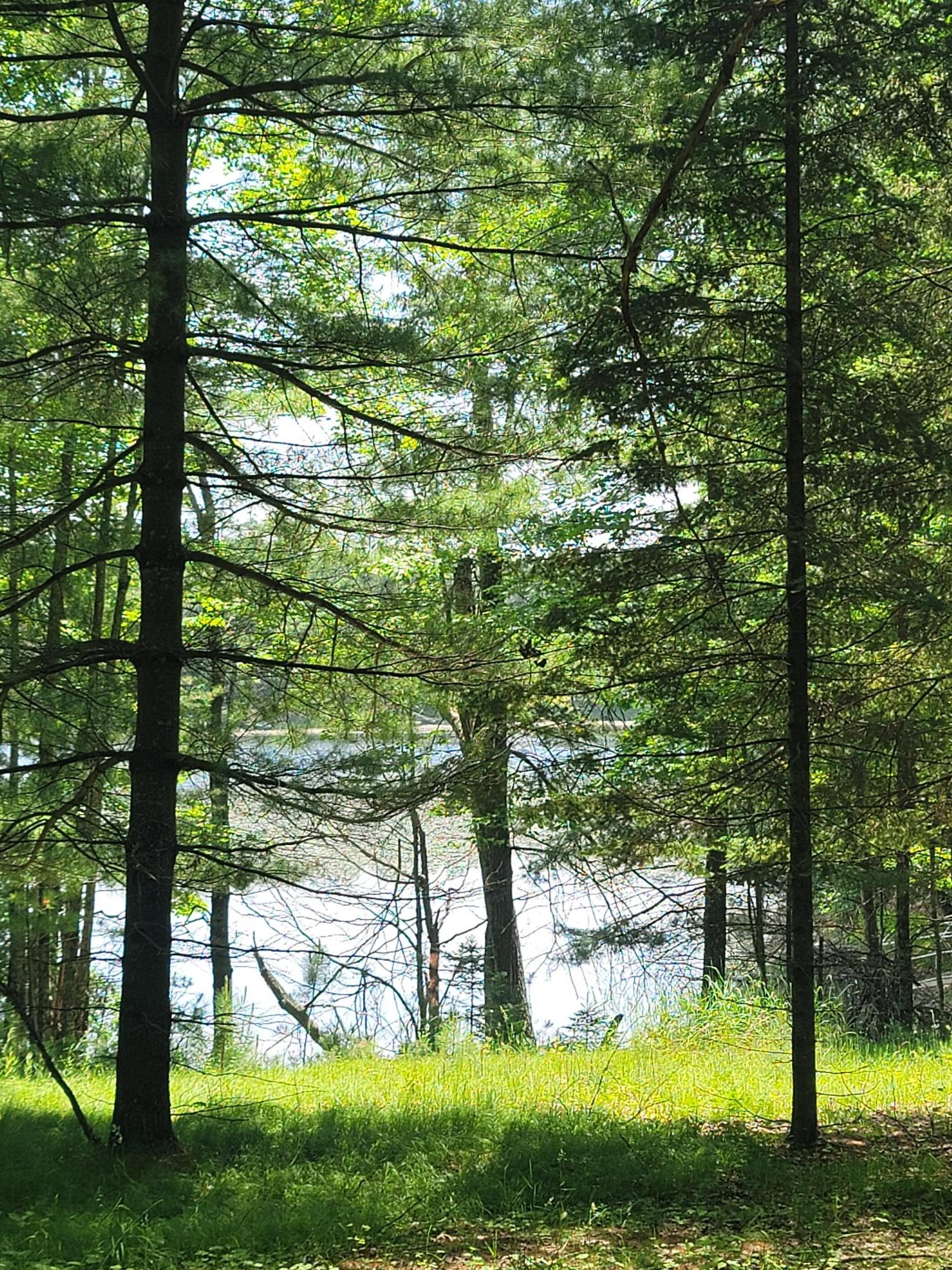 Wind Pudding Lake Property 6069 Windpudding Dr N Photo 11
