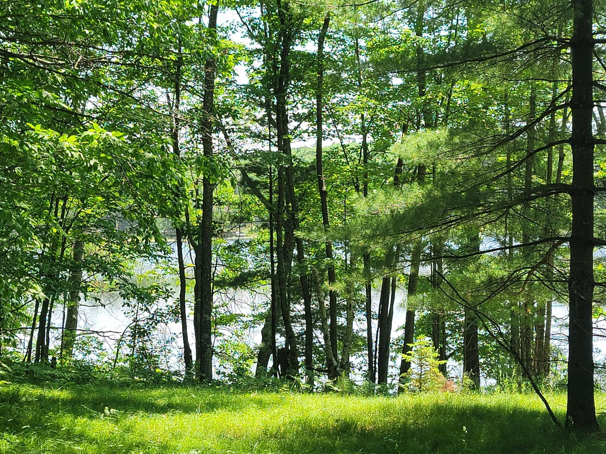 Wind Pudding Lake Property 6069 Windpudding Dr N Photo 13