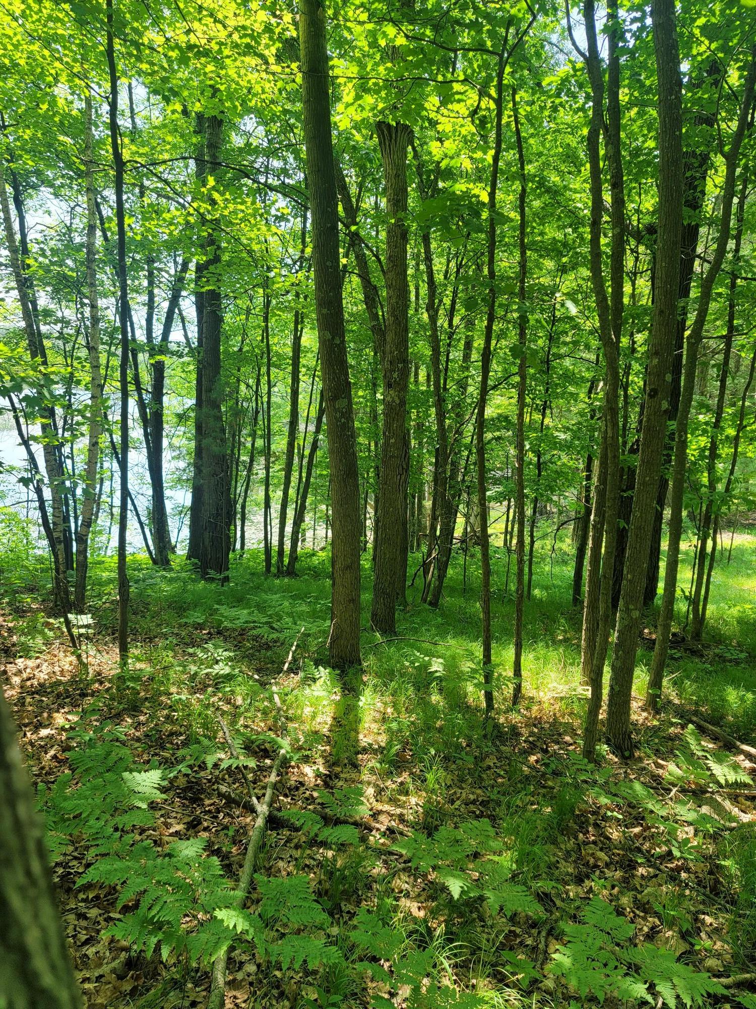 Wind Pudding Lake Property 6069 Windpudding Dr N Photo 6