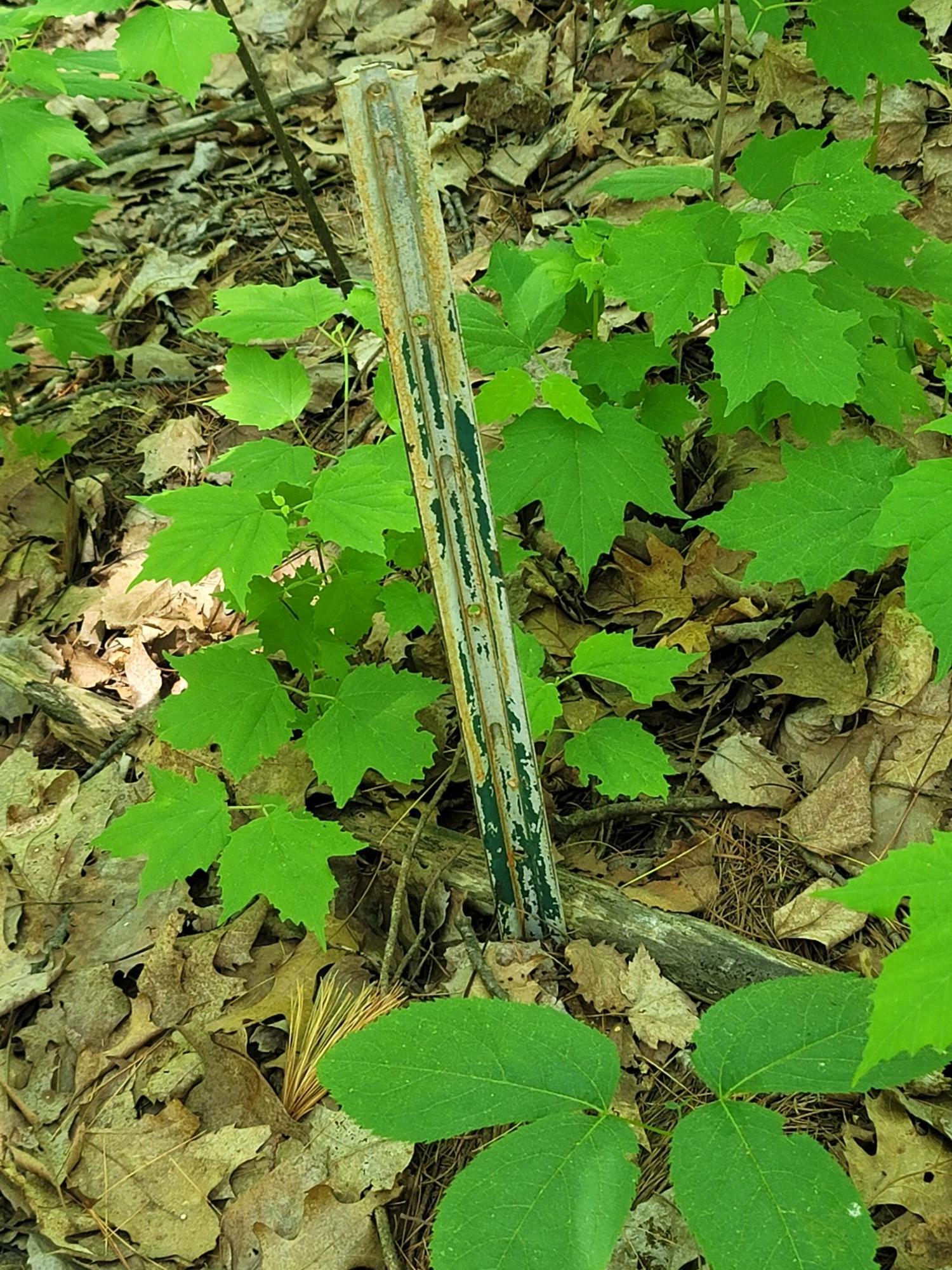 Wind Pudding Lake Property 6069 Windpudding Dr N Photo 7