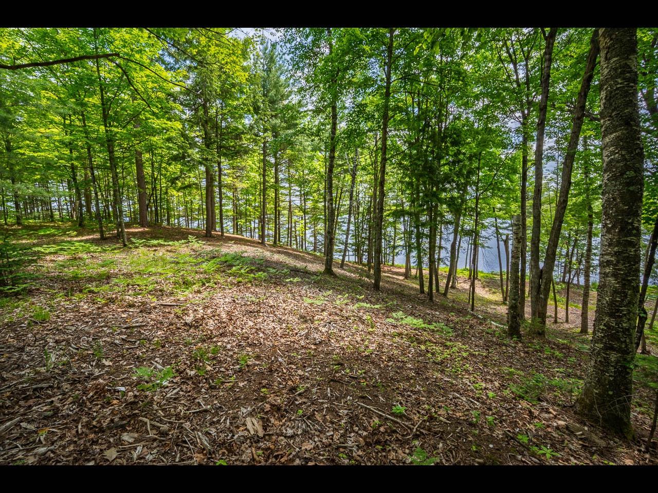 Clearwater Lake Property Lot 134 Clearwater Lake Tr Photo 10